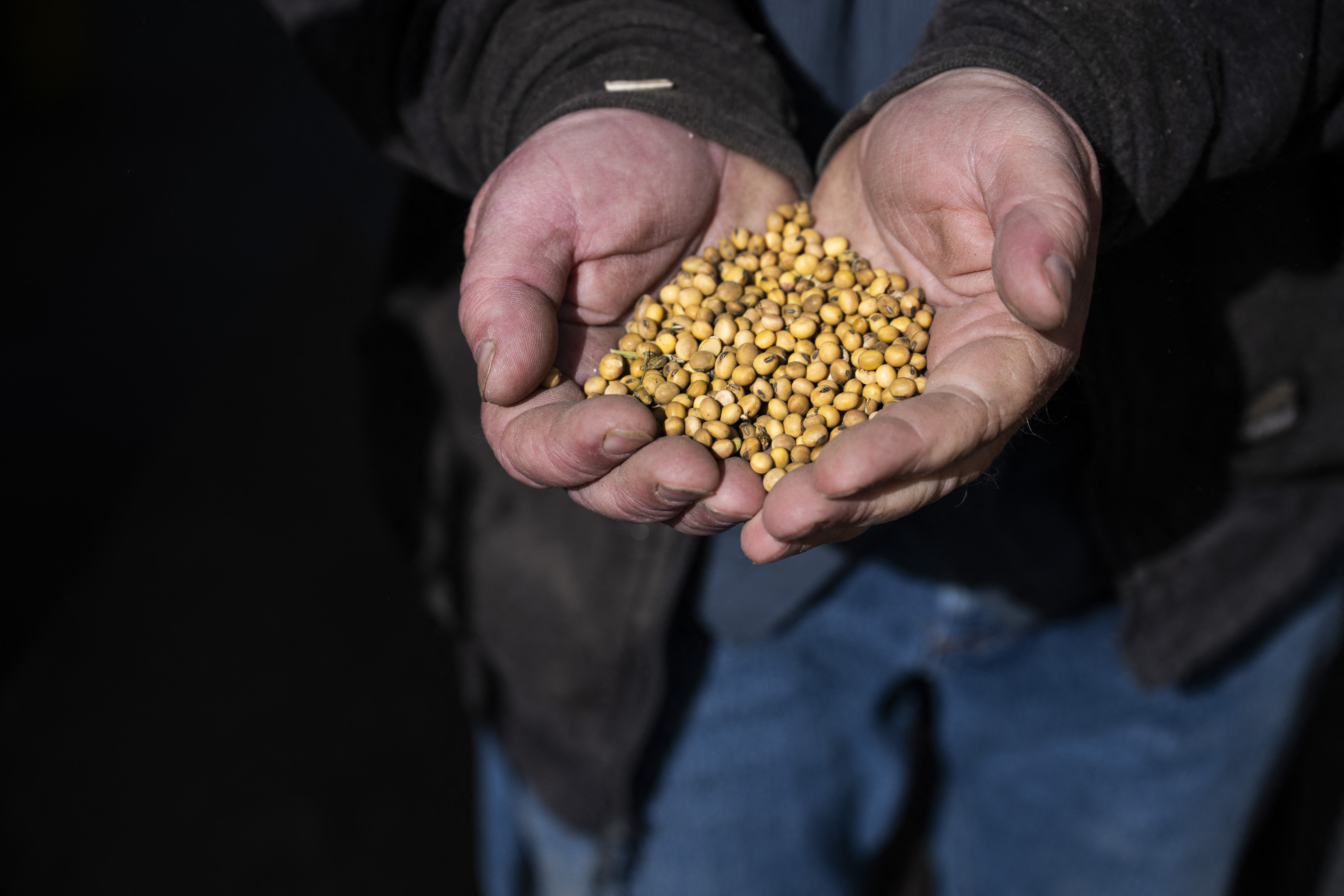 US soybean farmers battered by trade row with China