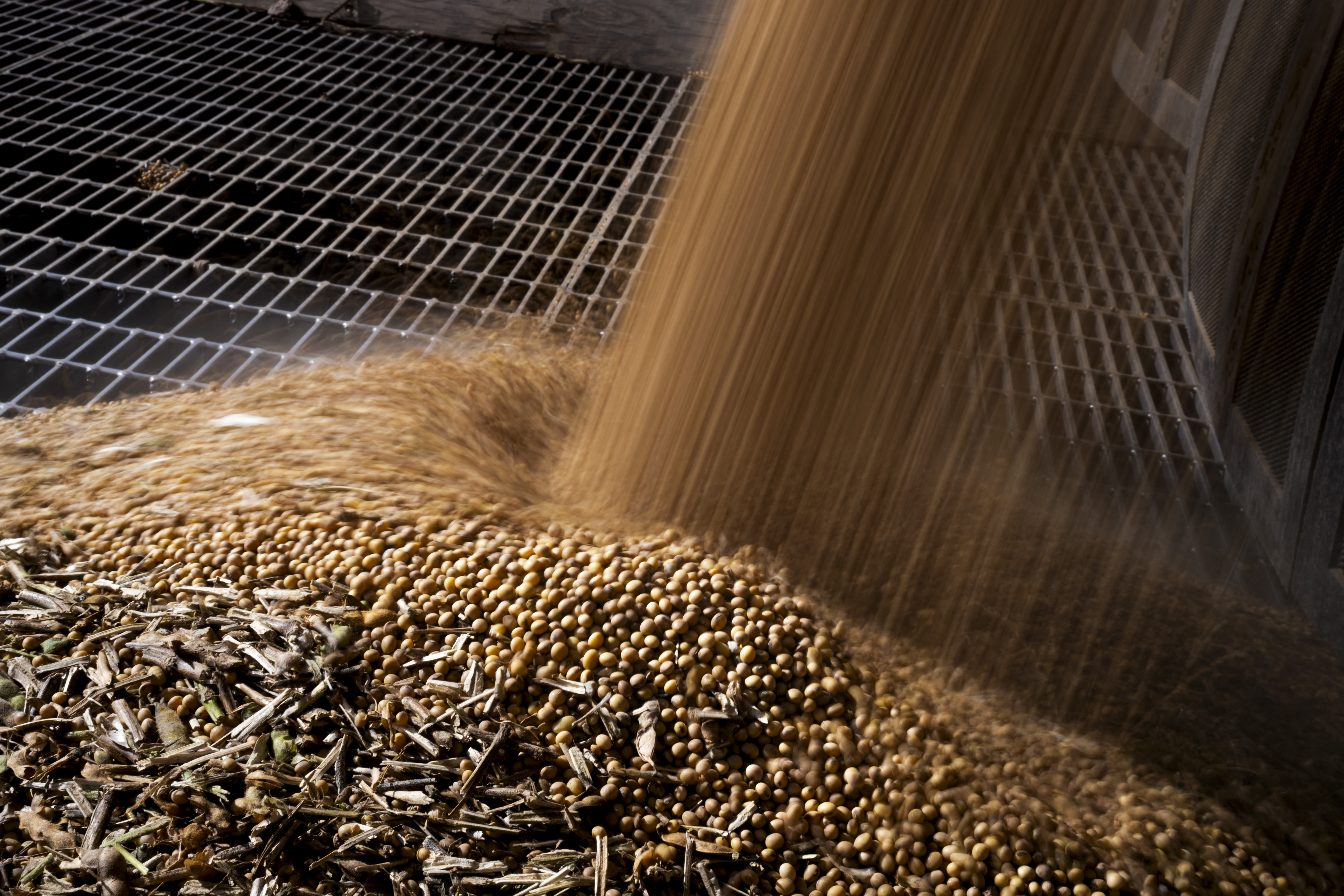 US soybean farmers battered by trade row with China