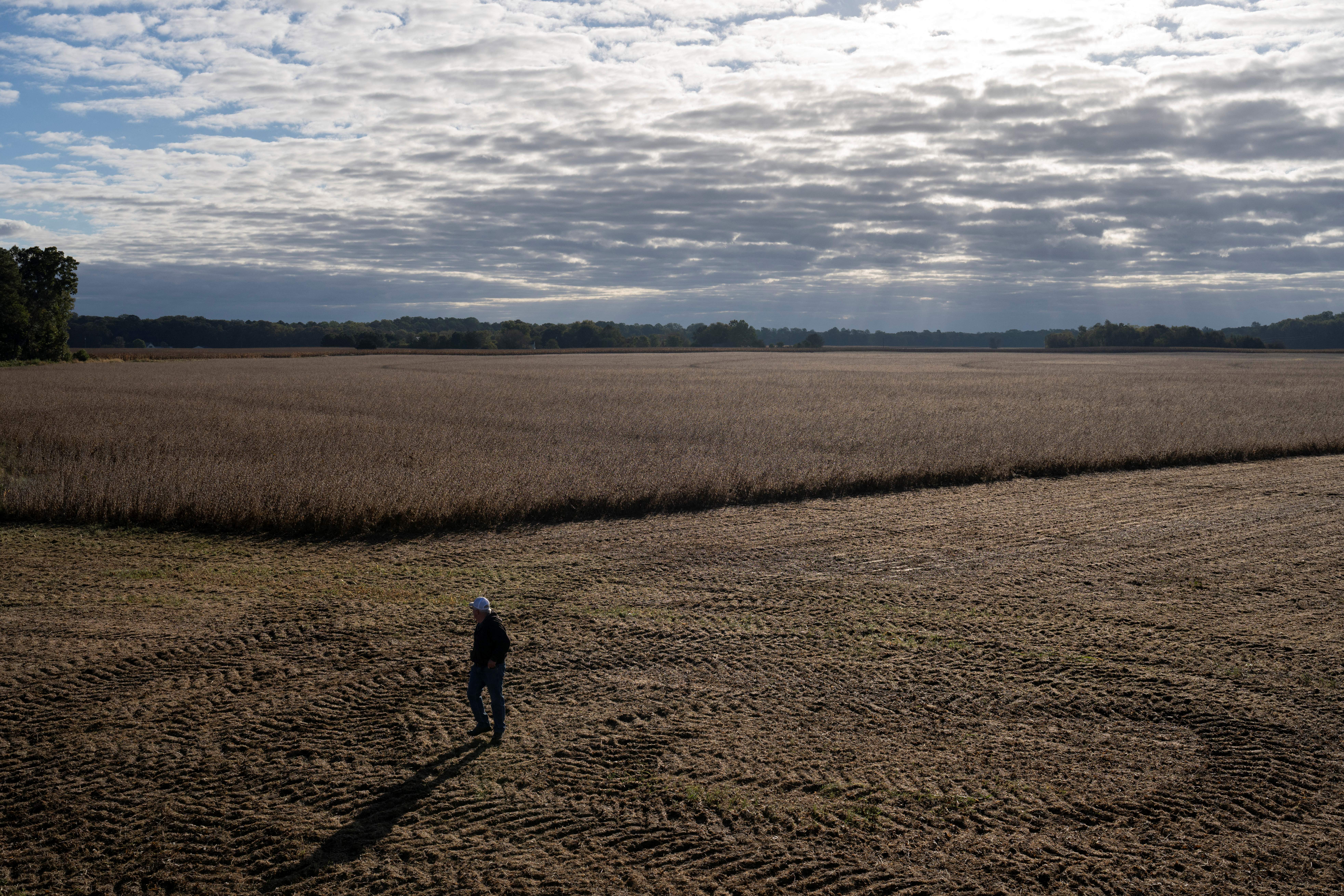 US soybean farmers battered by trade row with China