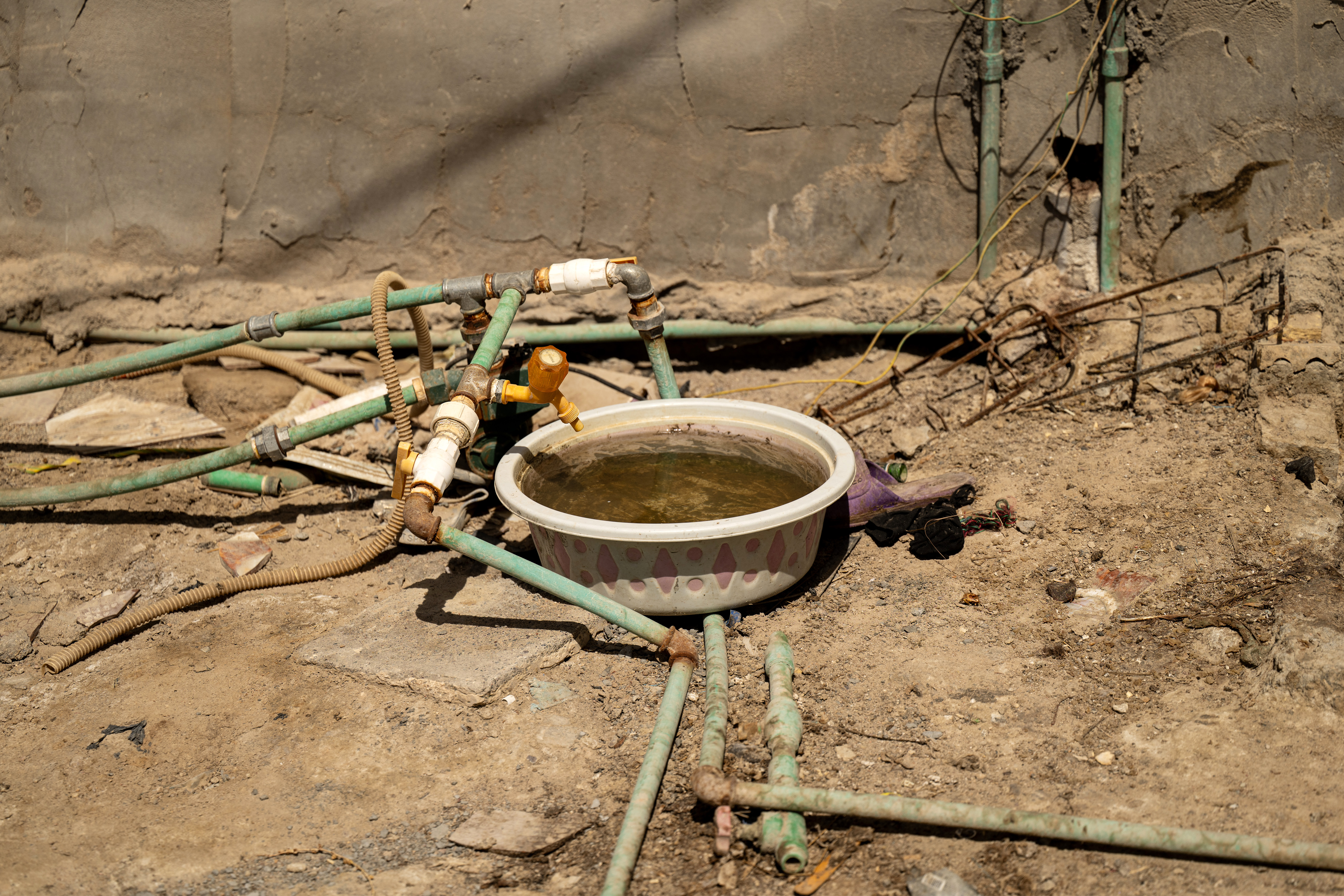 Water salinity hurting farmers, livestock in Iraq