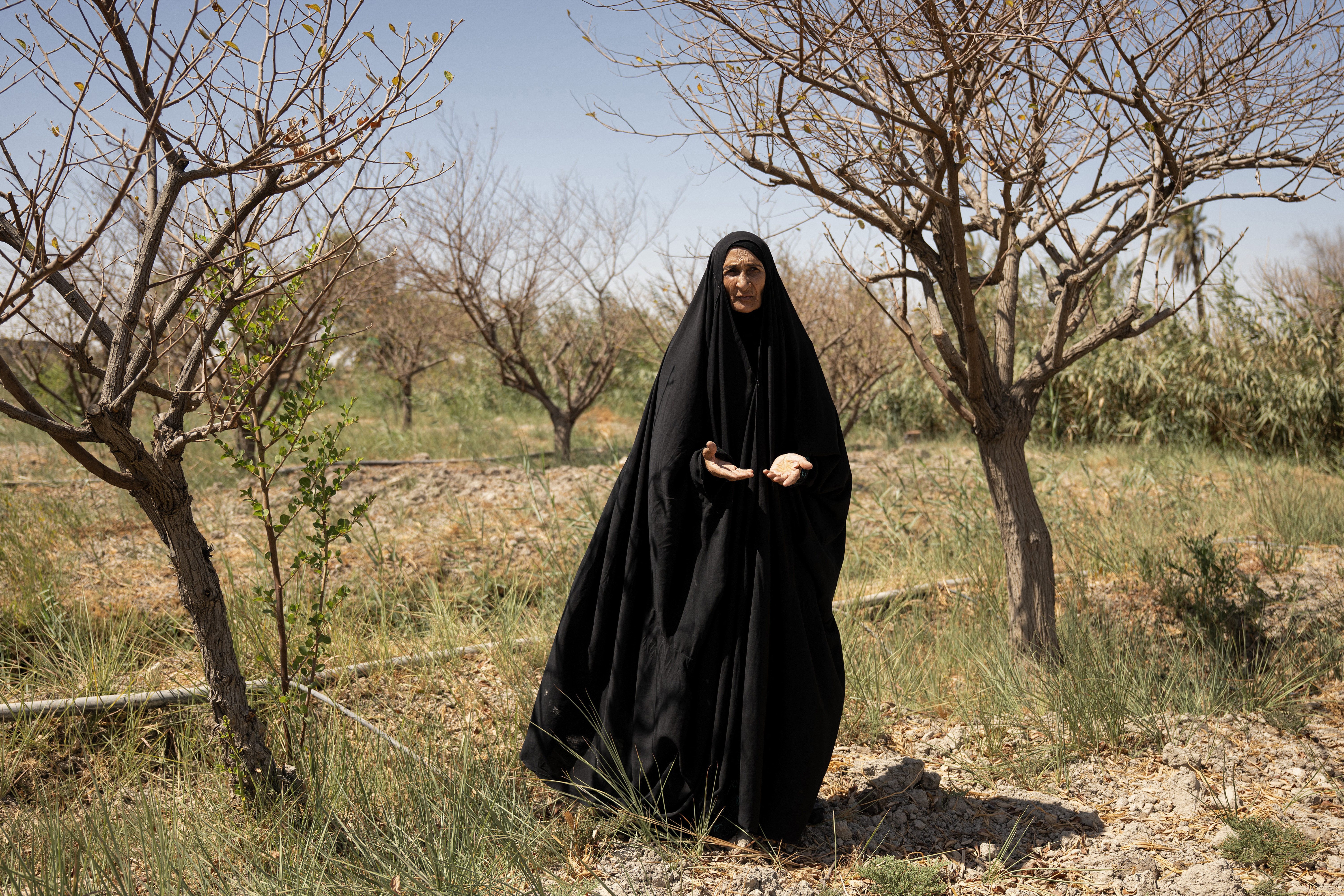 Water salinity hurting farmers, livestock in Iraq