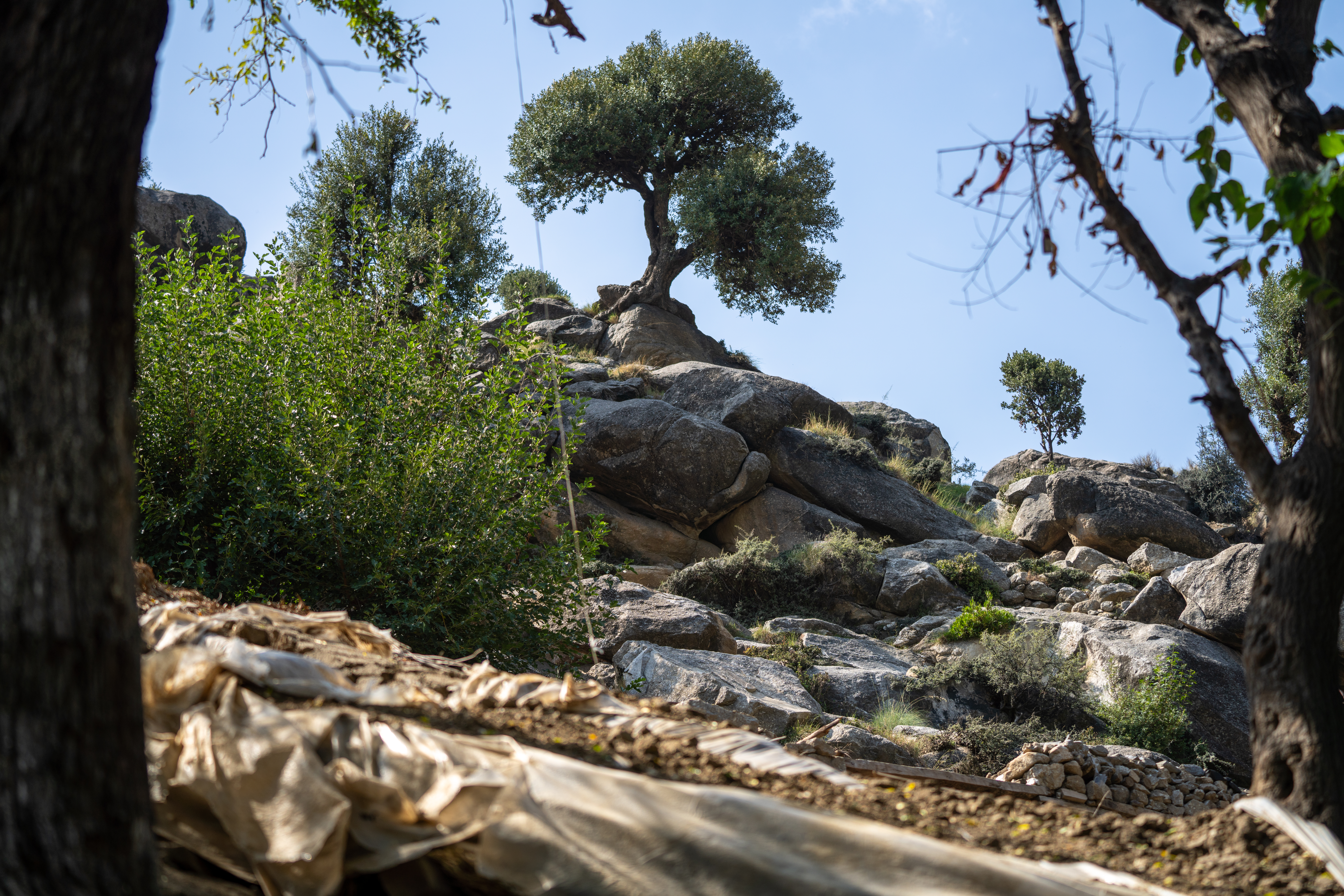 Kunar province, Afghanistan [Sorin Furcoi/Al Jazeera]