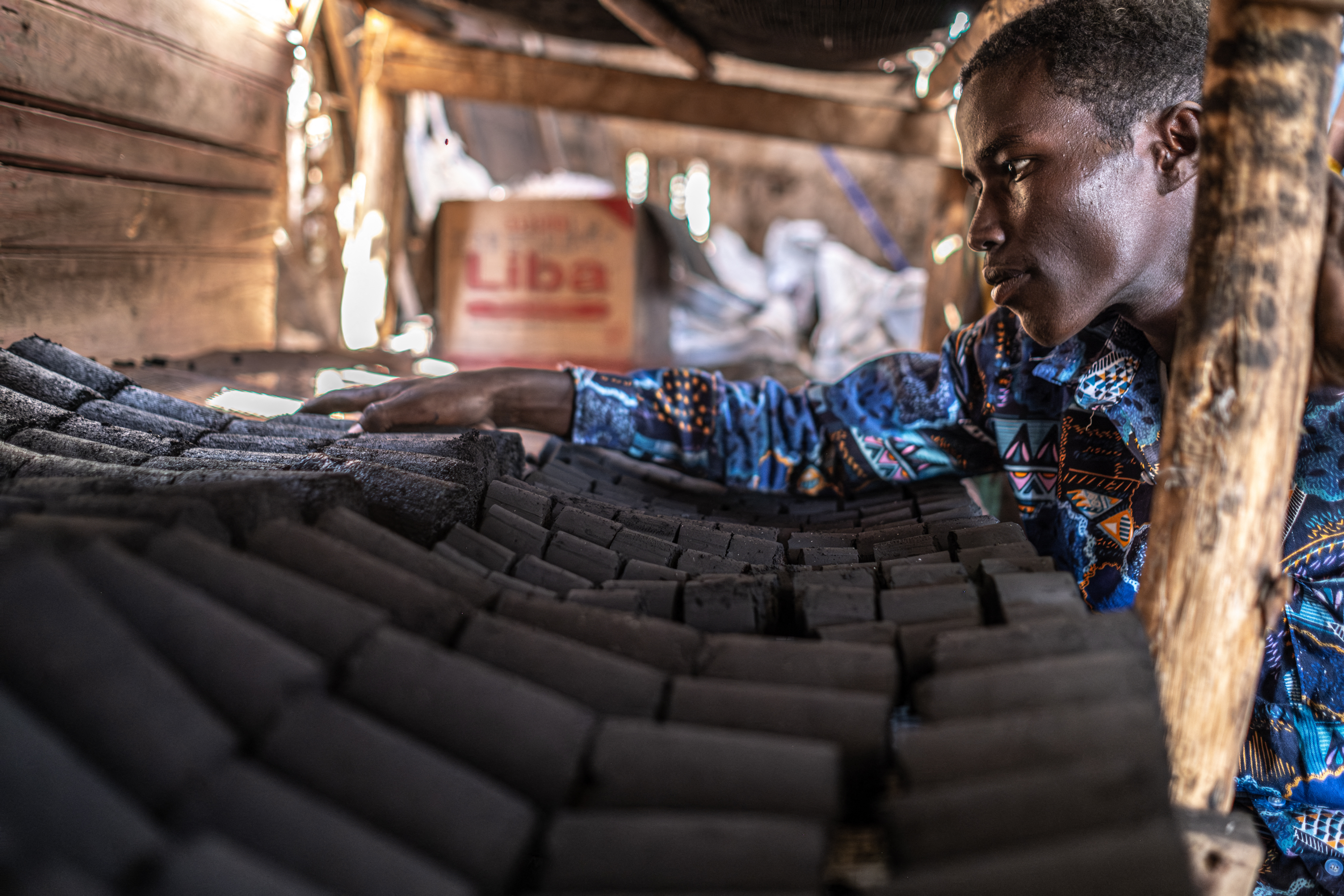 Non-native tree devastates Ethiopia’s ecosystems and threatens livelihoods