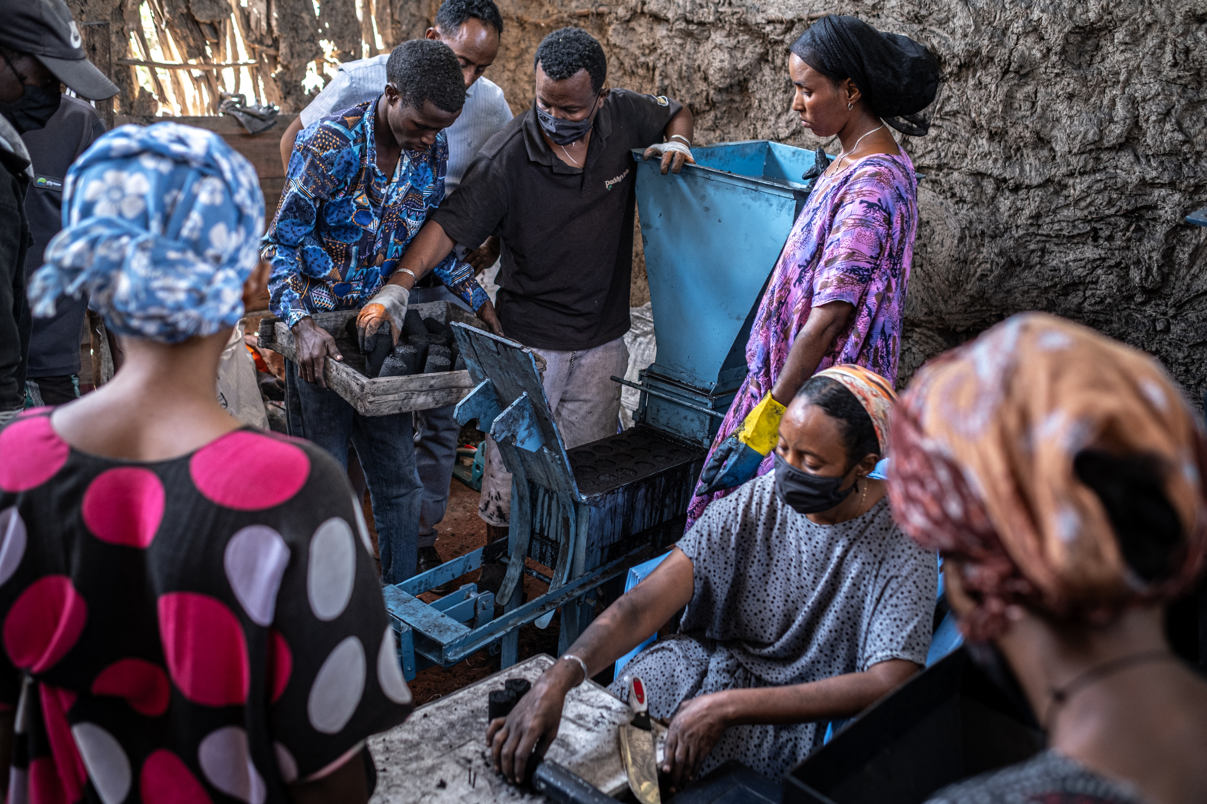 Non-native tree devastates Ethiopia’s ecosystems and threatens livelihoods