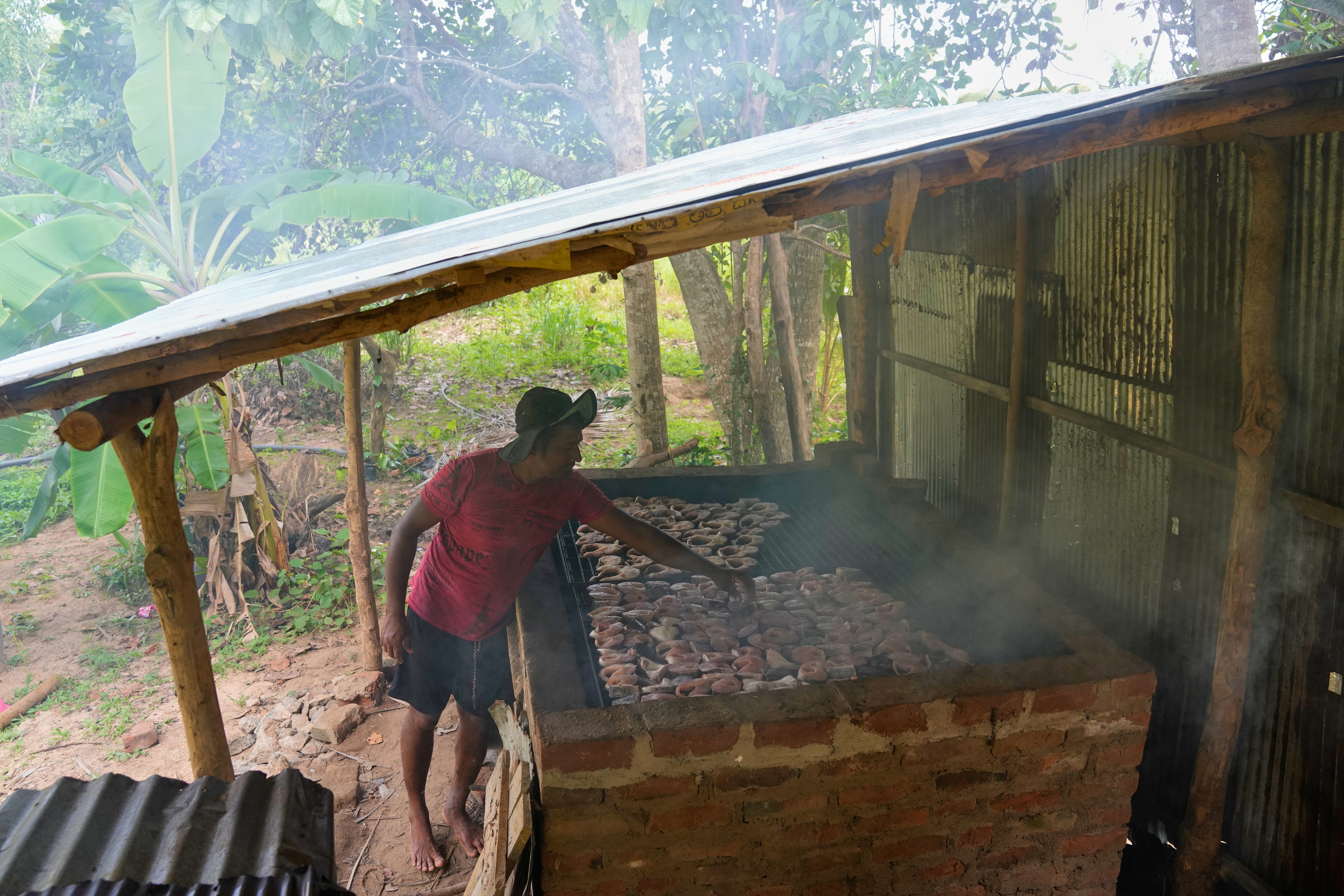 Sri Lankan villagers adapt to snakehead fish invasion