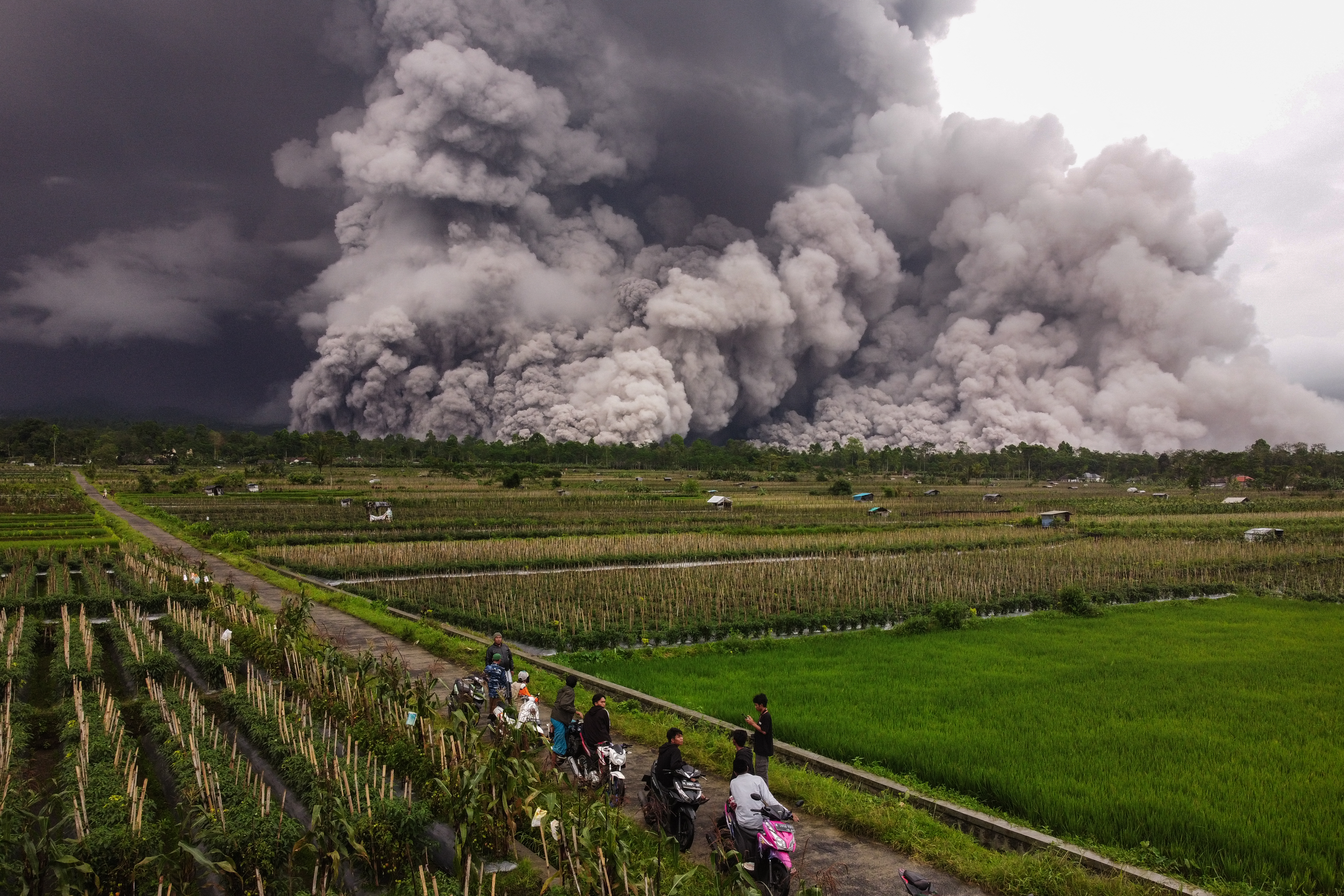 An aerial picture shows a pyroclastic flow during the eruption of Mount Semeru in Lumajang, East Java, on November 19, 2025. (Photo by Agus Harianto / AFP)