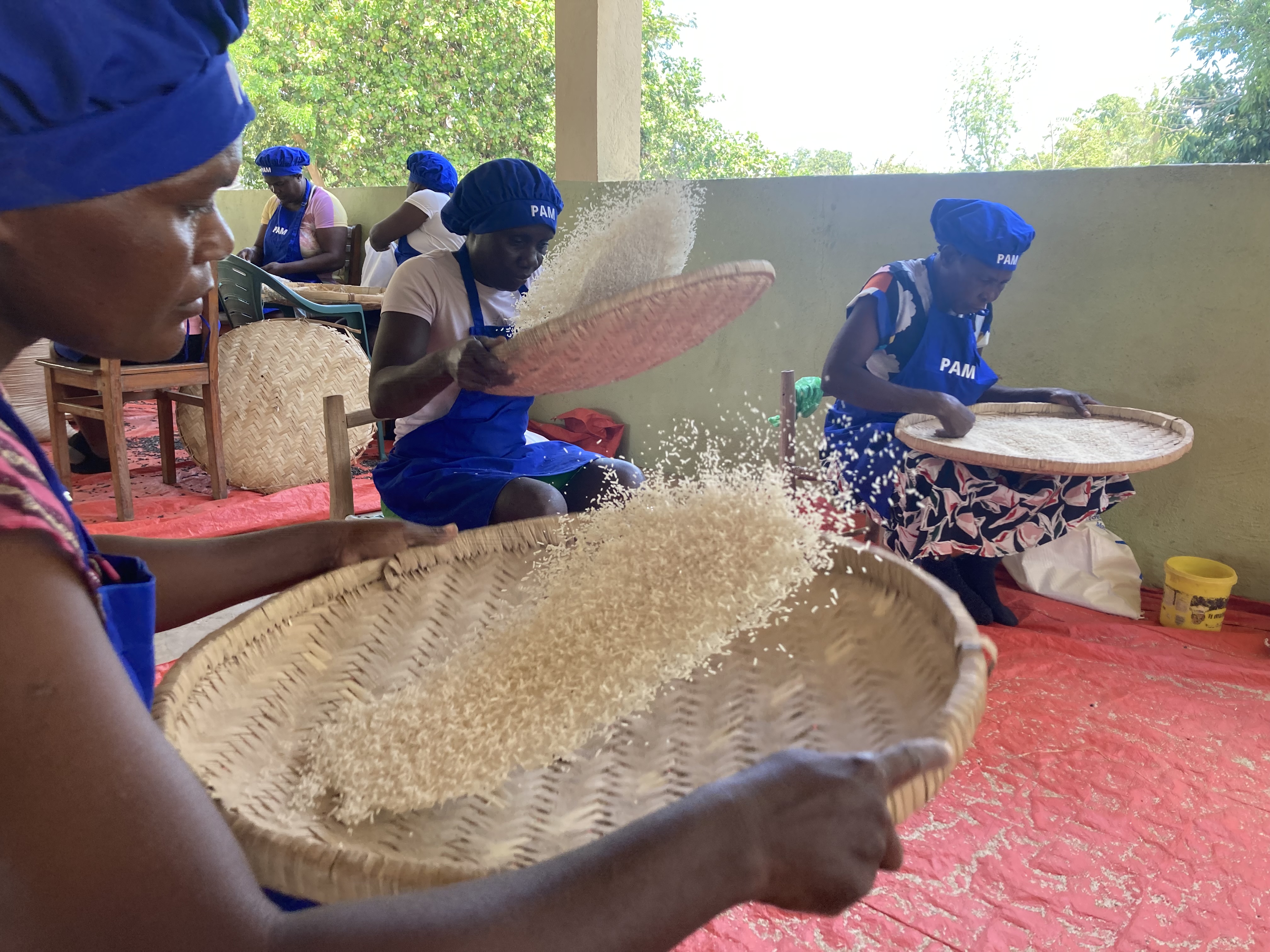 Women in Haiti sift through rice
