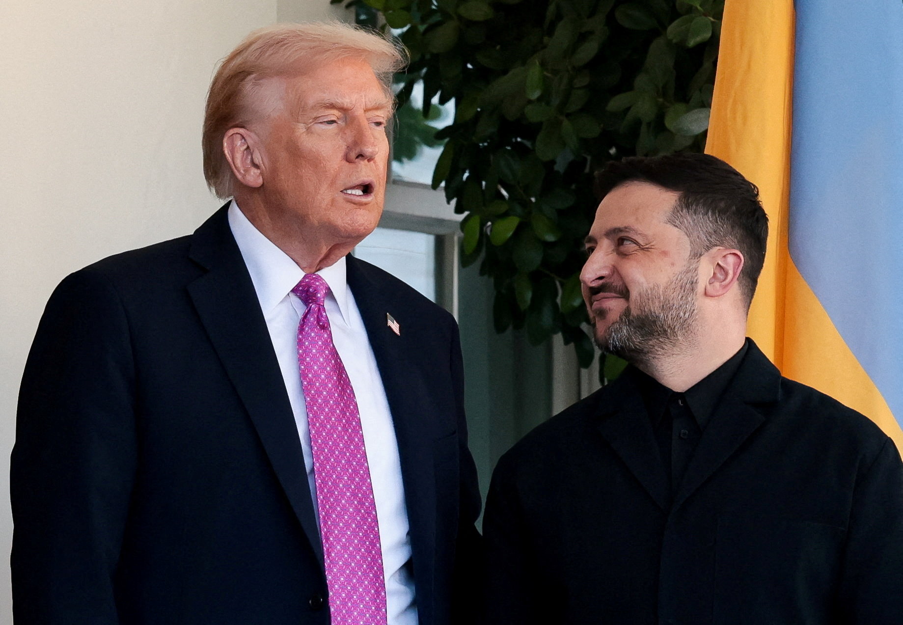 Trump Zelenskyy