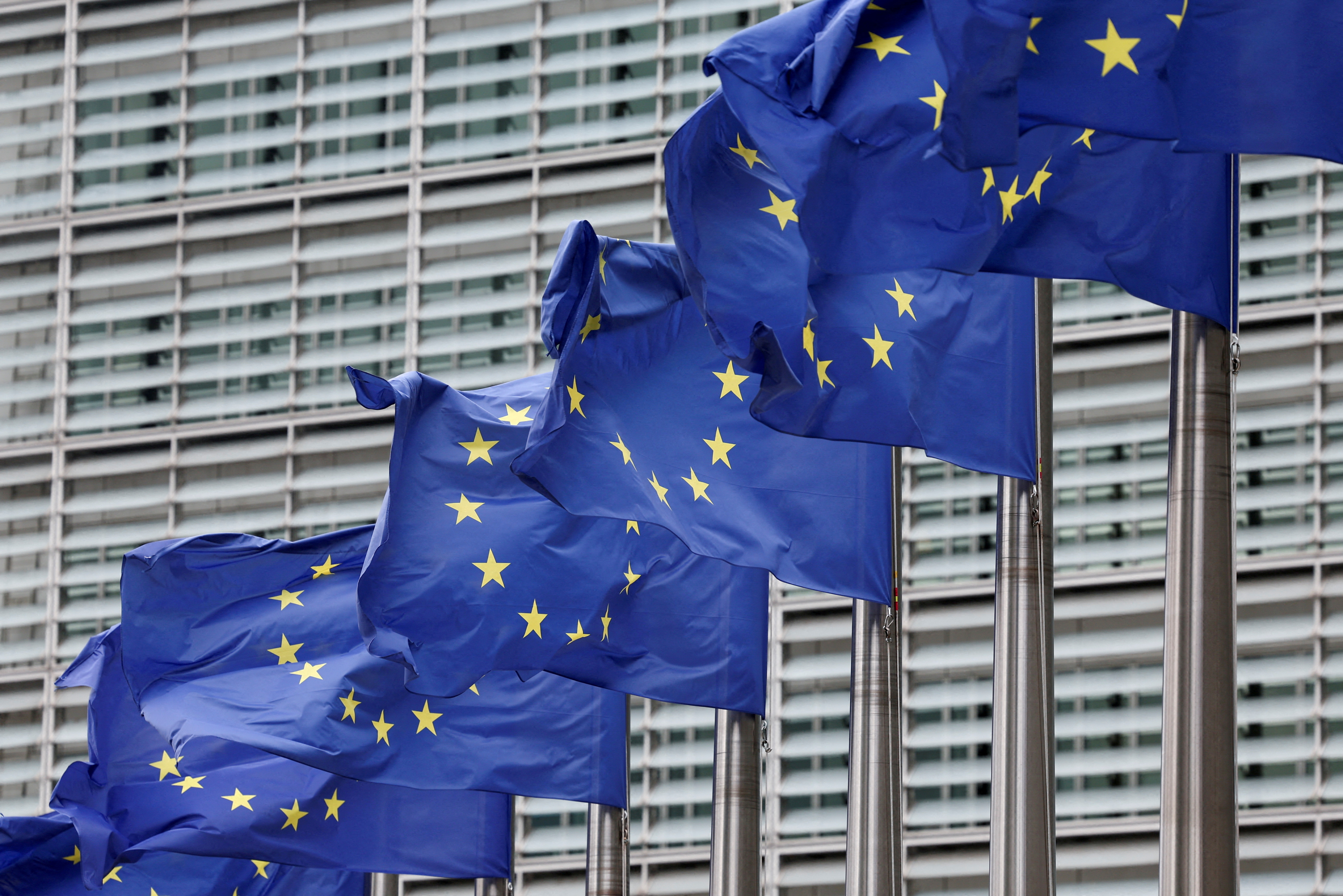 European Union flags