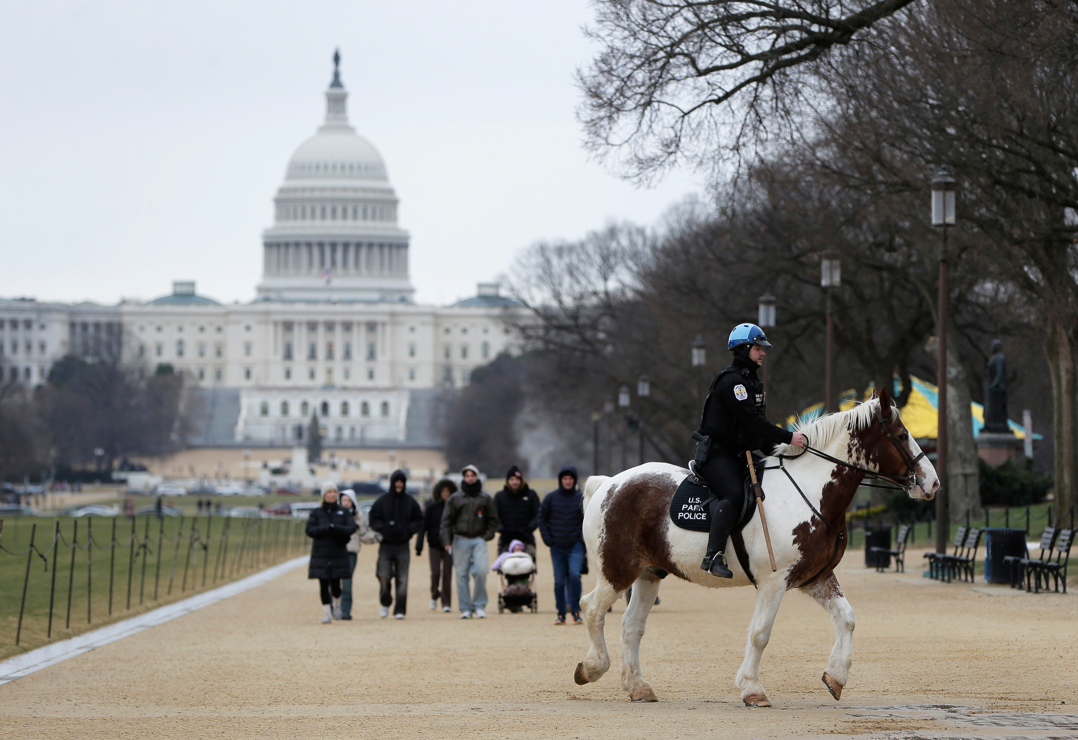 A mounted police officer rides a horse in front of the US Capitol