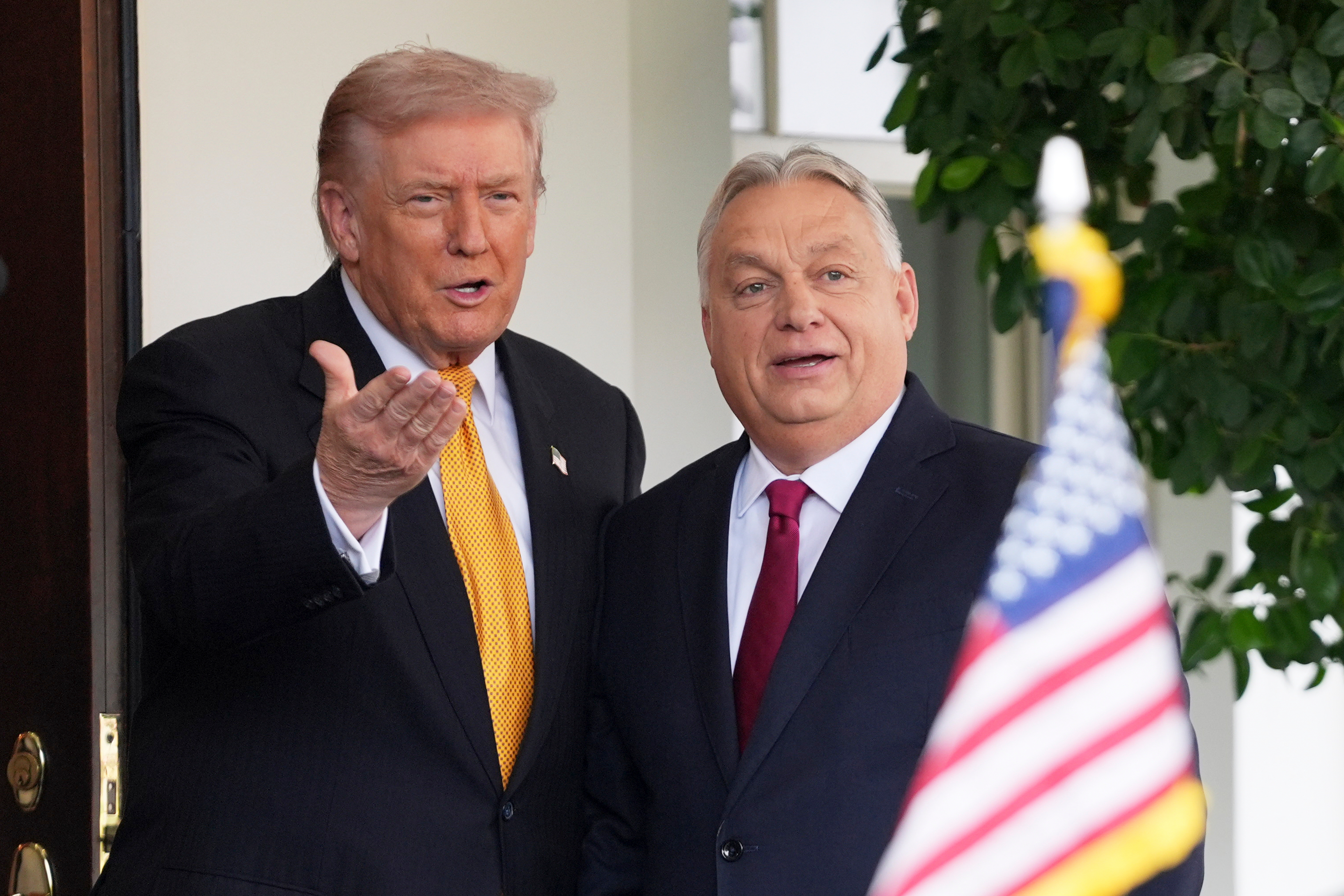 Viktor Orban and Trump