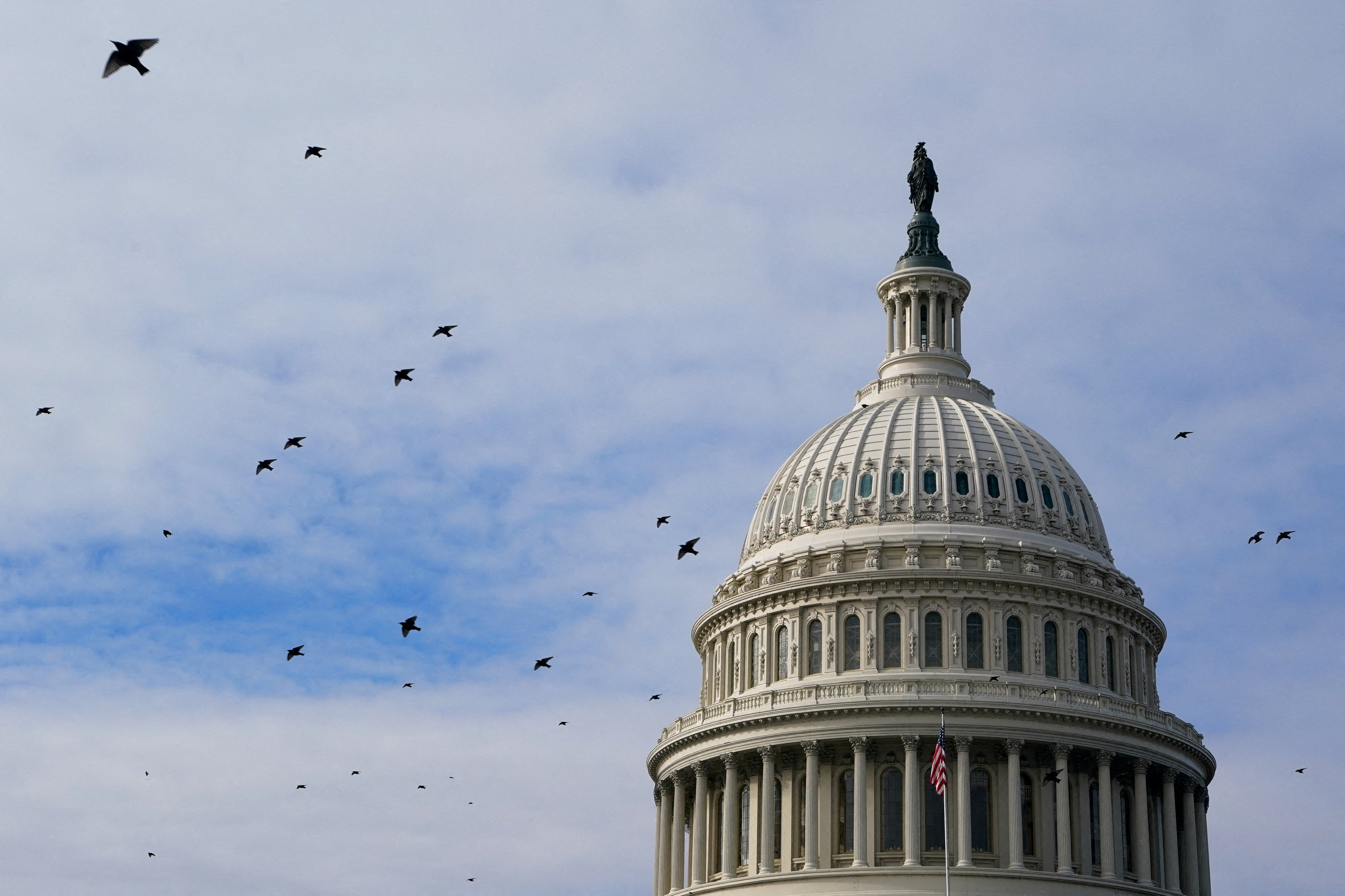 FILE PHOTO: Birds fly past the U.S. Capitol building dome in Washington, D.C., U.S., January 4, 2026. REUTERS/Elizabeth Frantz/File Photo