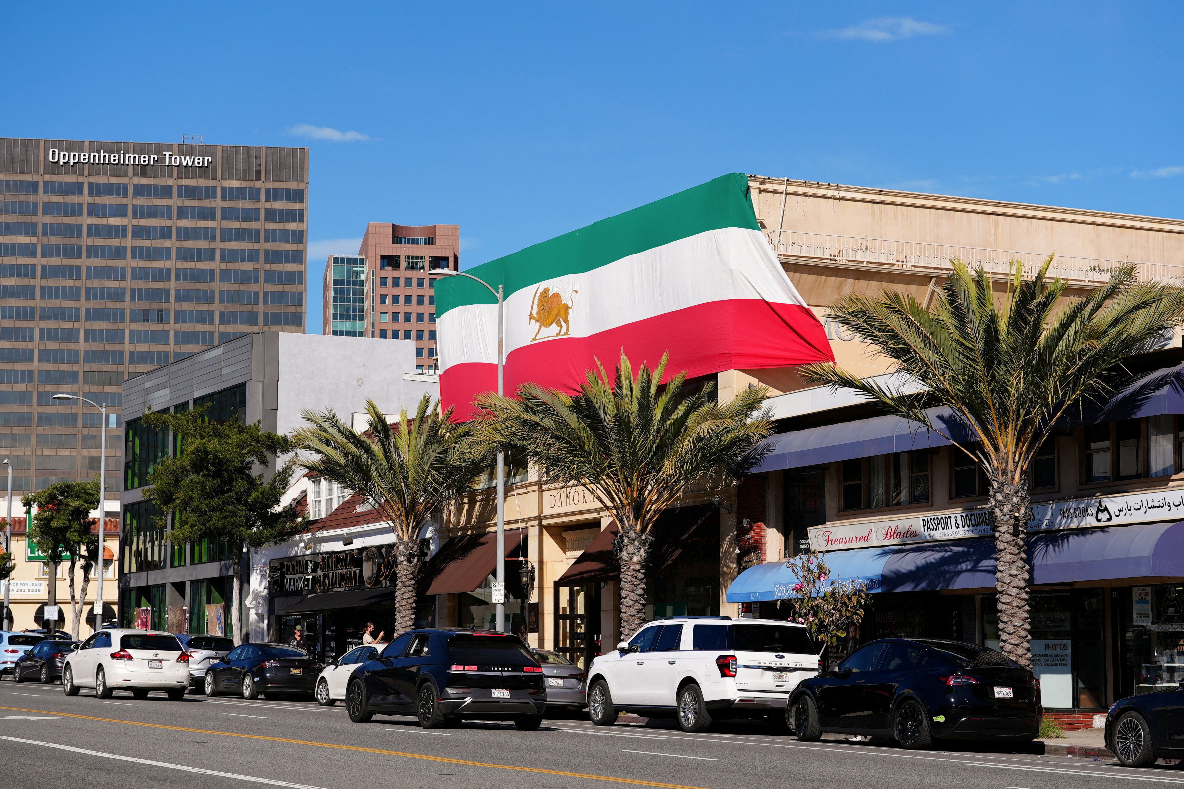 A large Lion and Sun pre-Iranian revolution national flag
