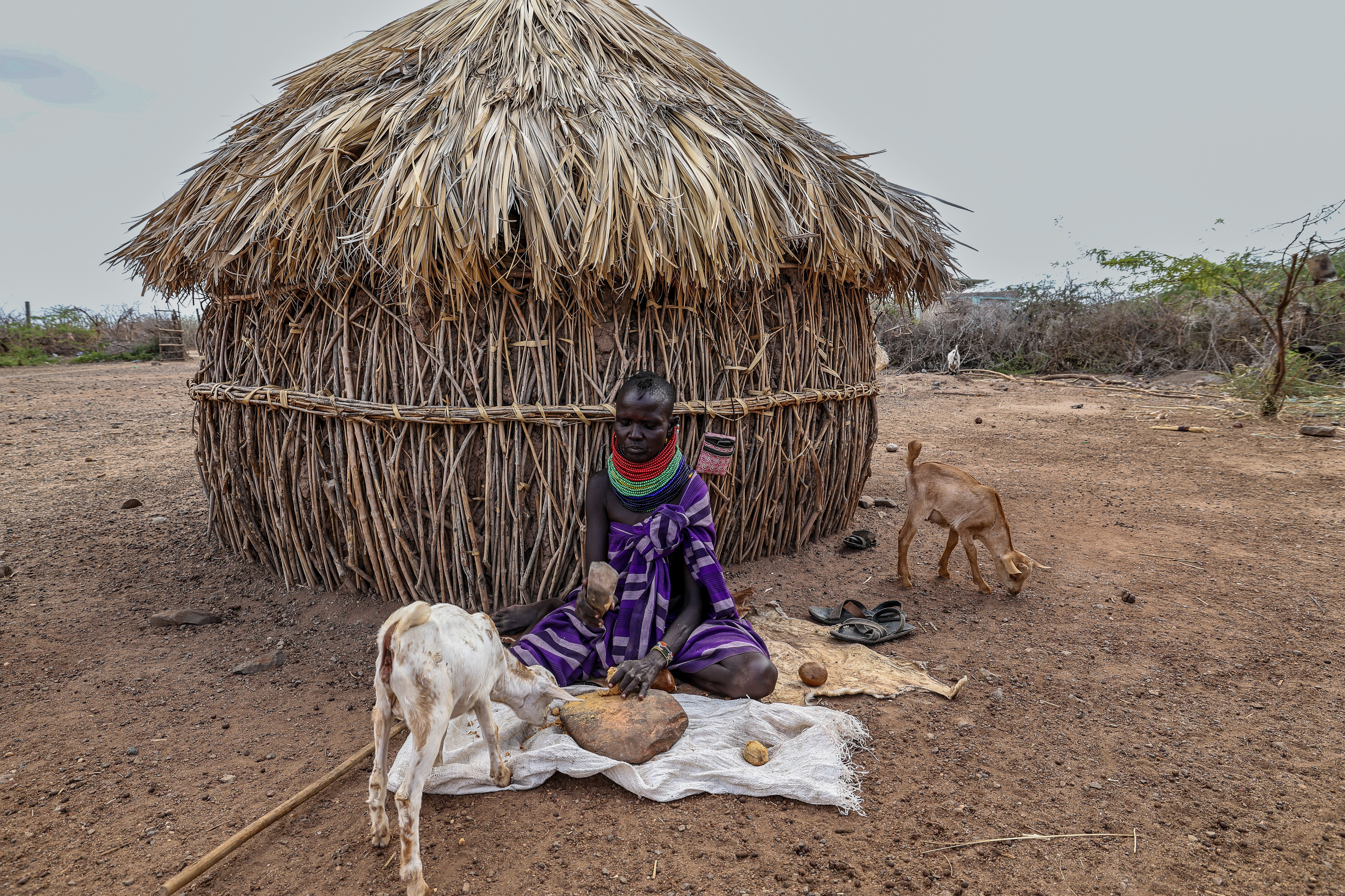 Severe drought leaves over two million Kenyans hungry and desperate