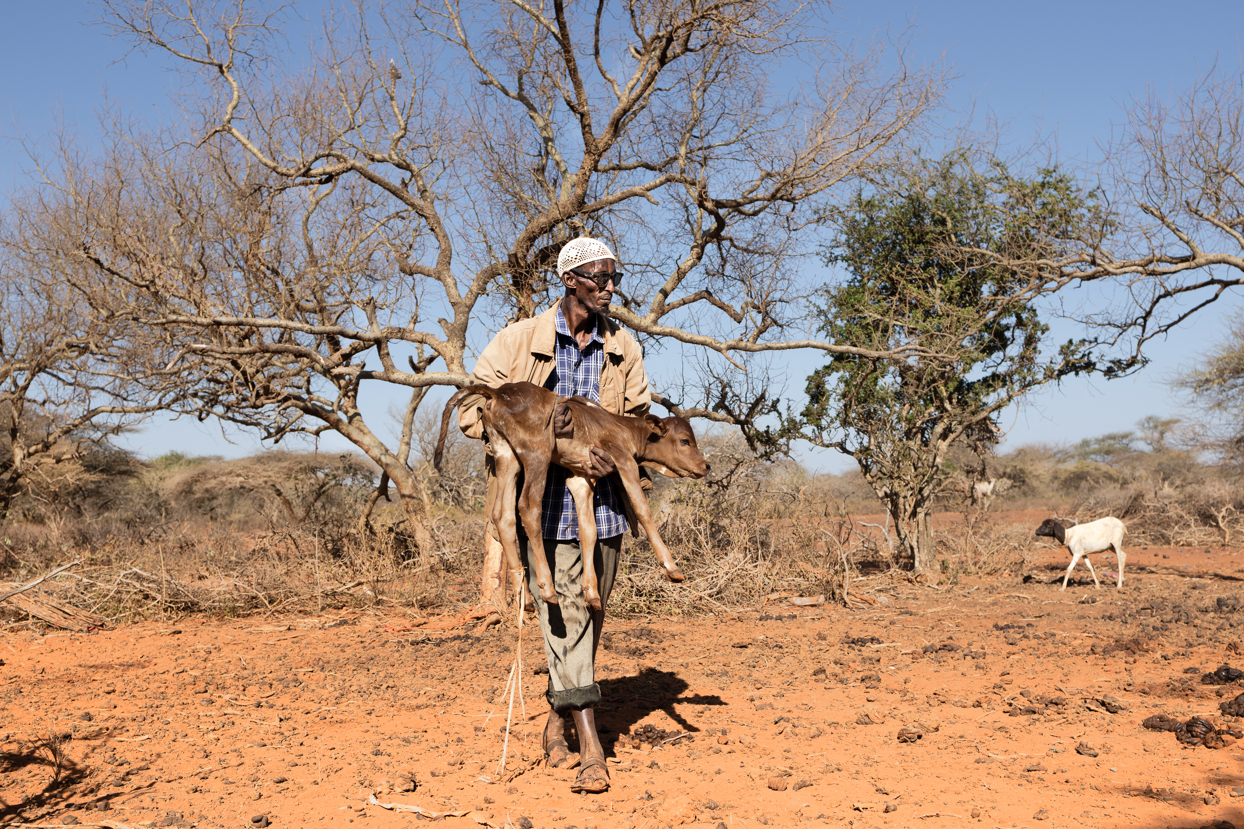 Severe drought leaves over two million Kenyans hungry and desperateSevere drought leaves over two million Kenyans hungry and desperate