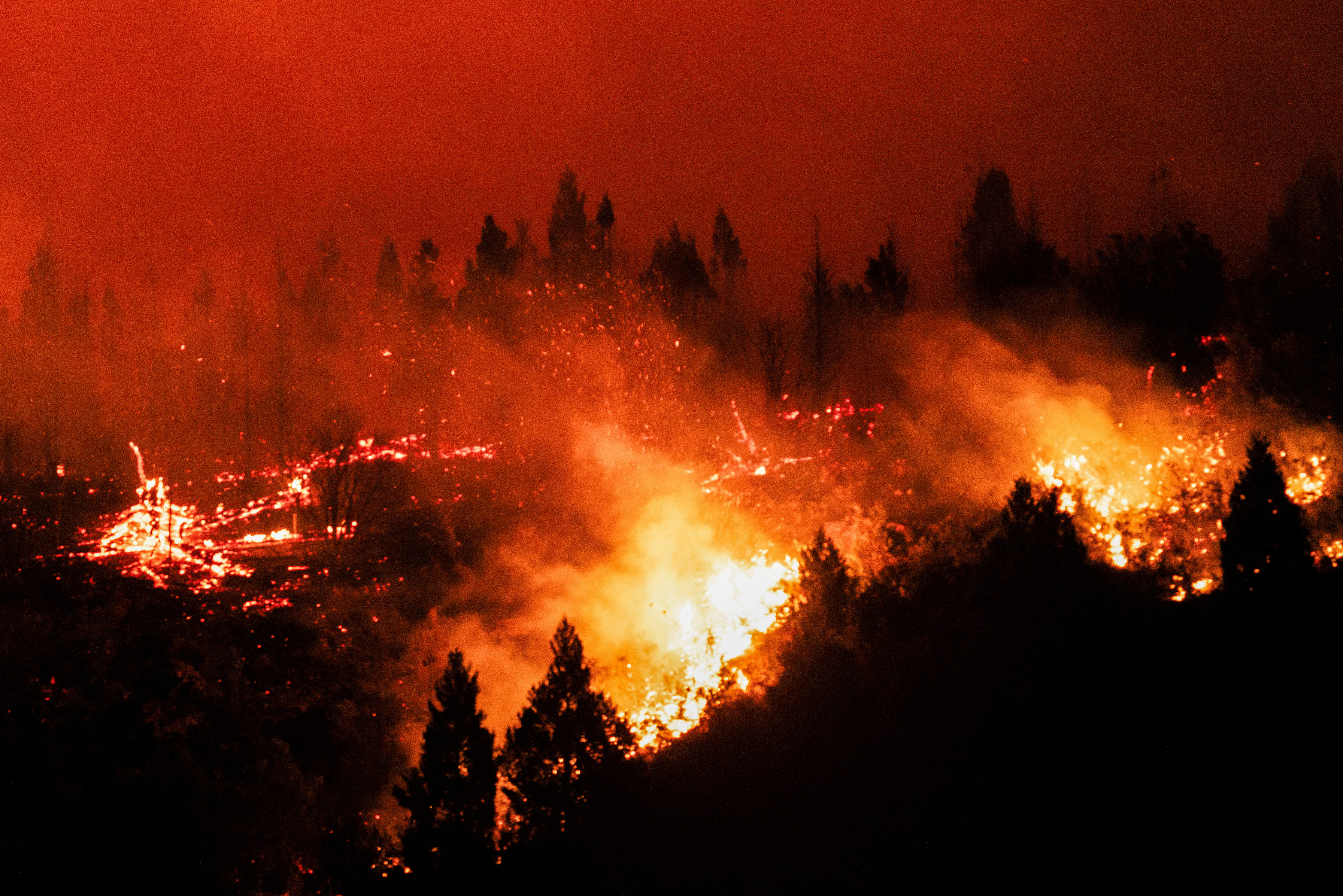 Wildfires devastate Argentina's Patagonia, threaten ancient forests