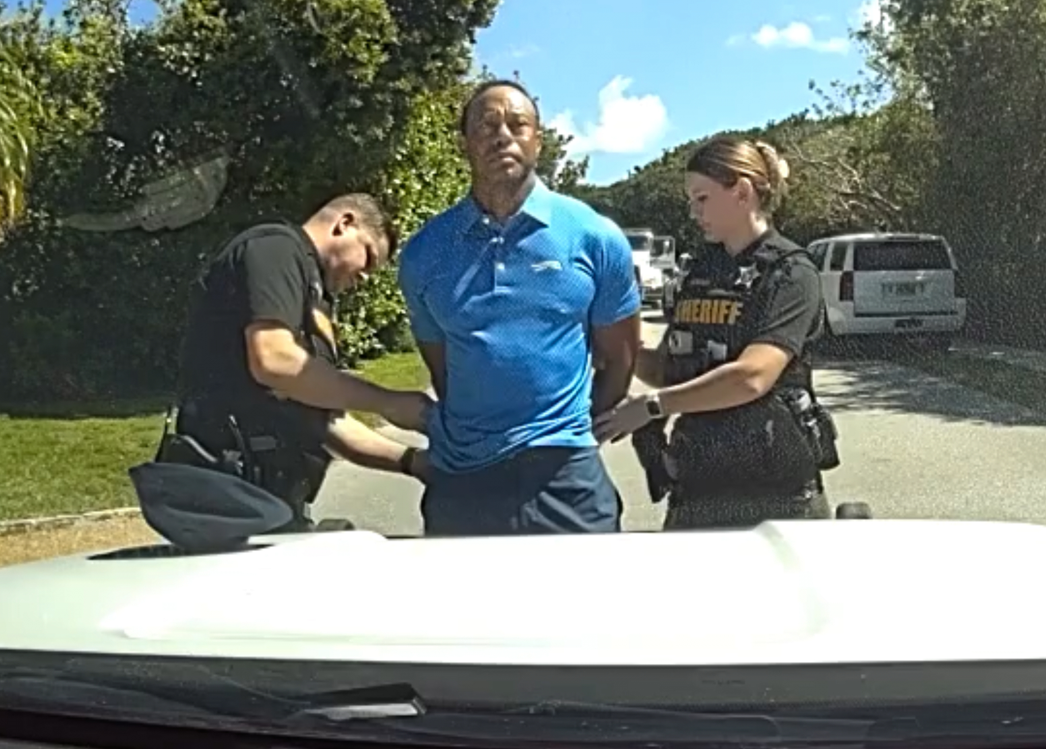 Tiger Woods arrested