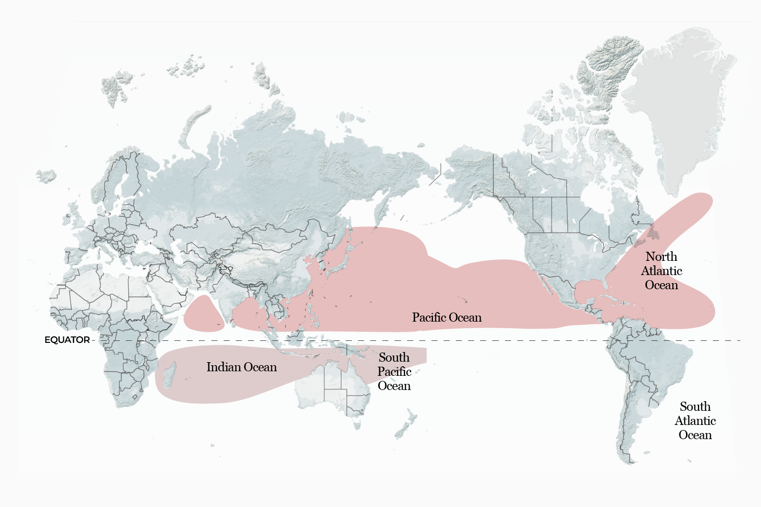 interactive - hurricane cover