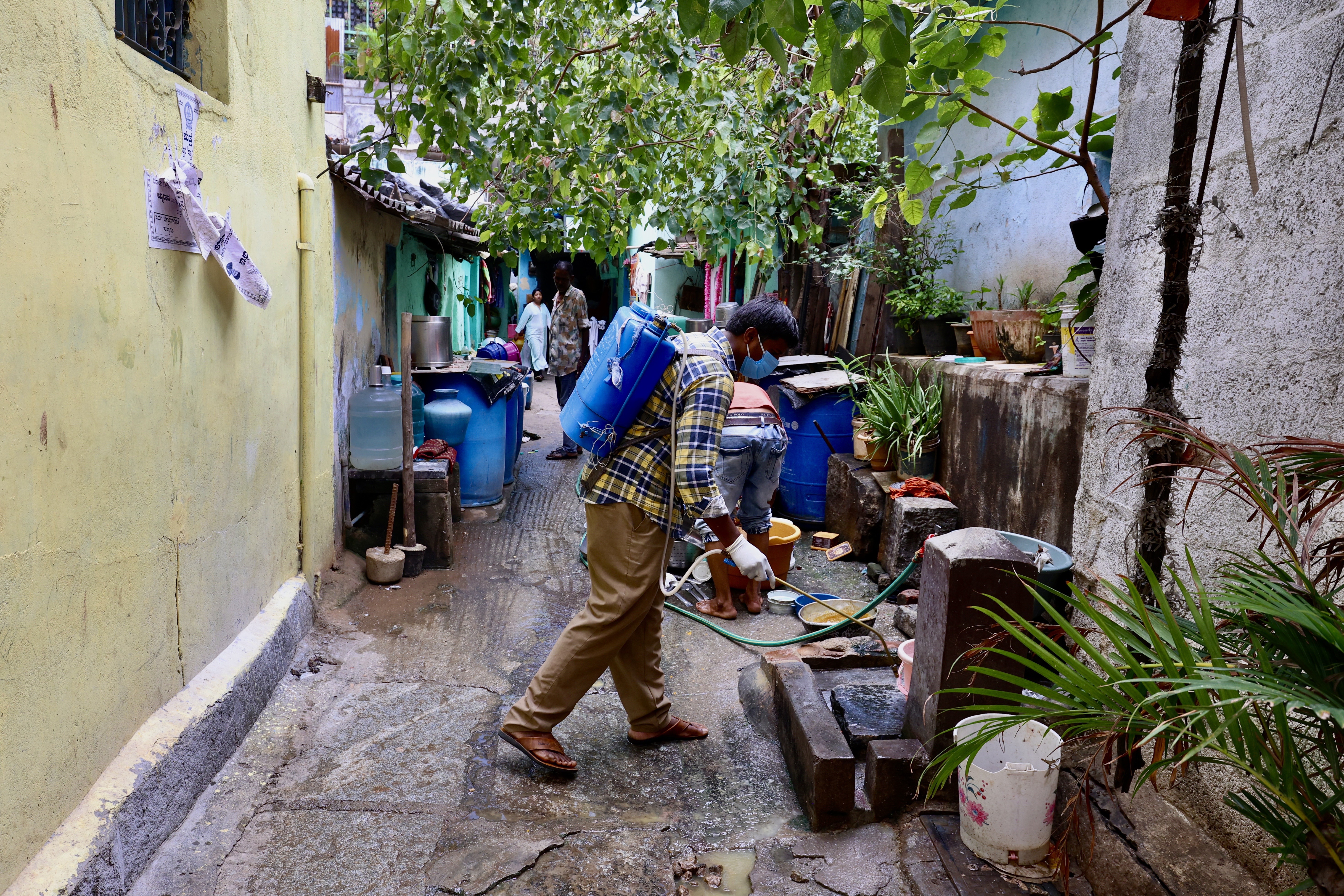 India dengue