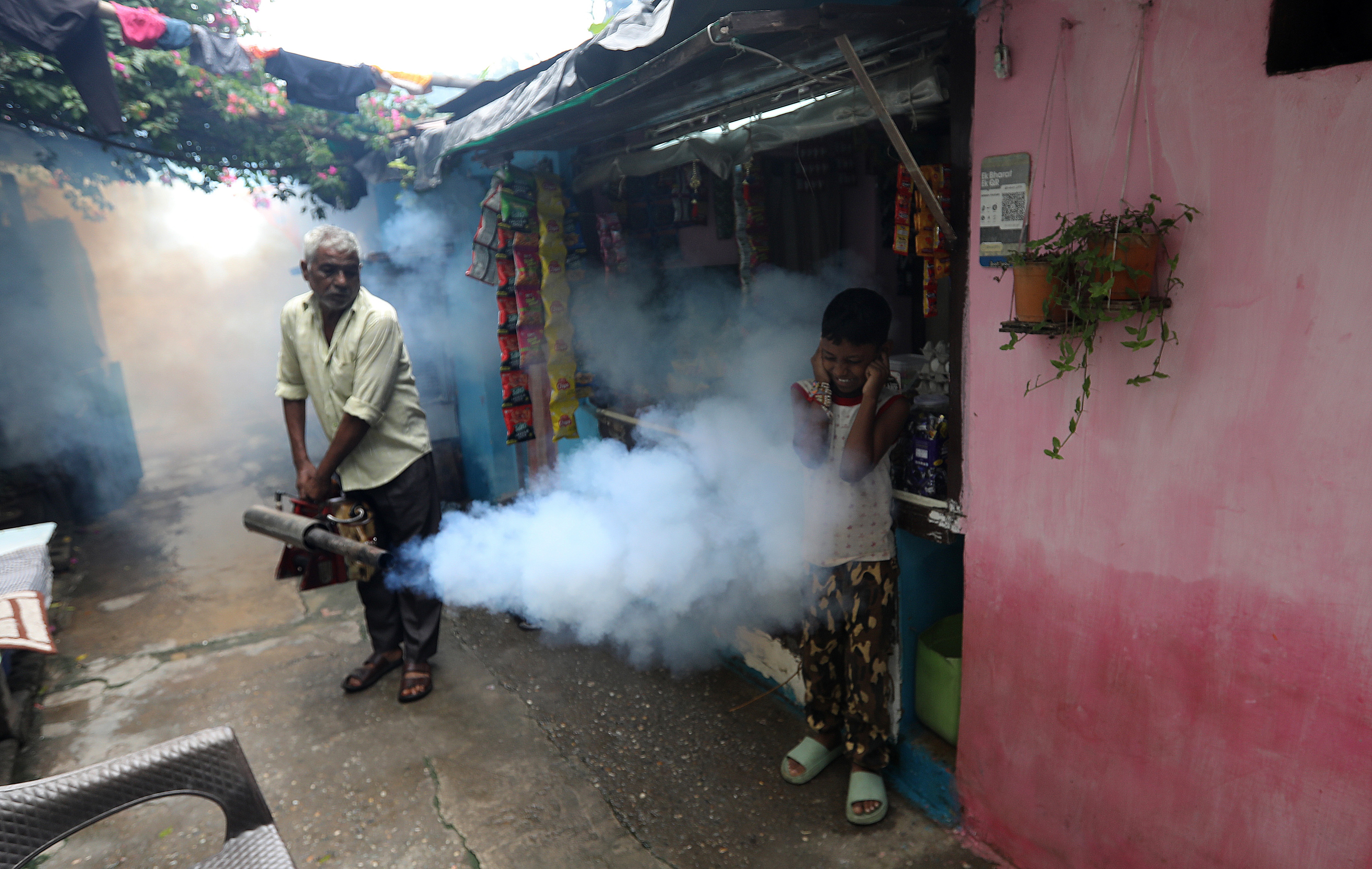 India dengue