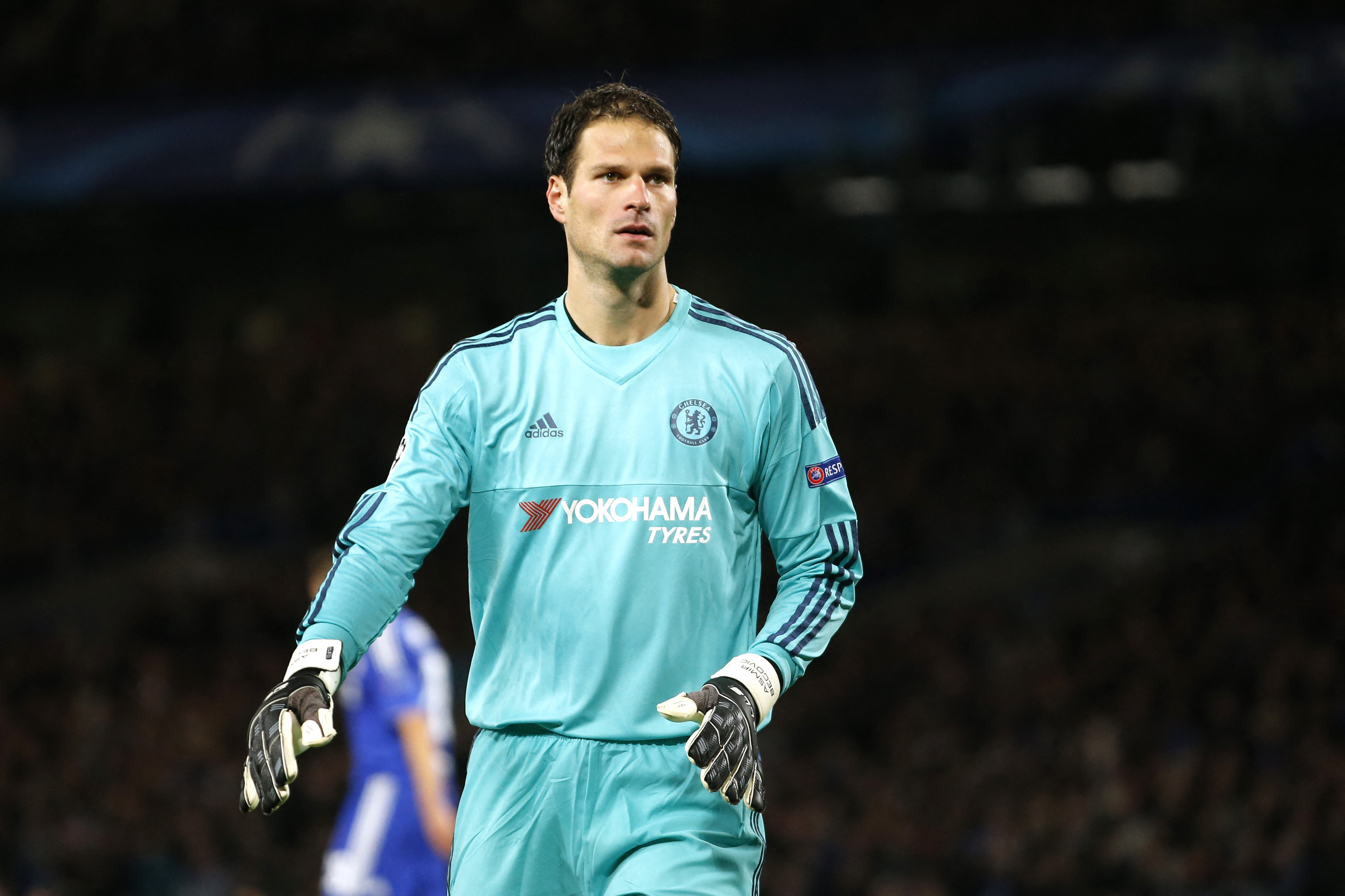 Asmir Begovic in action in the UEFA Champions League during his time with Chelsea