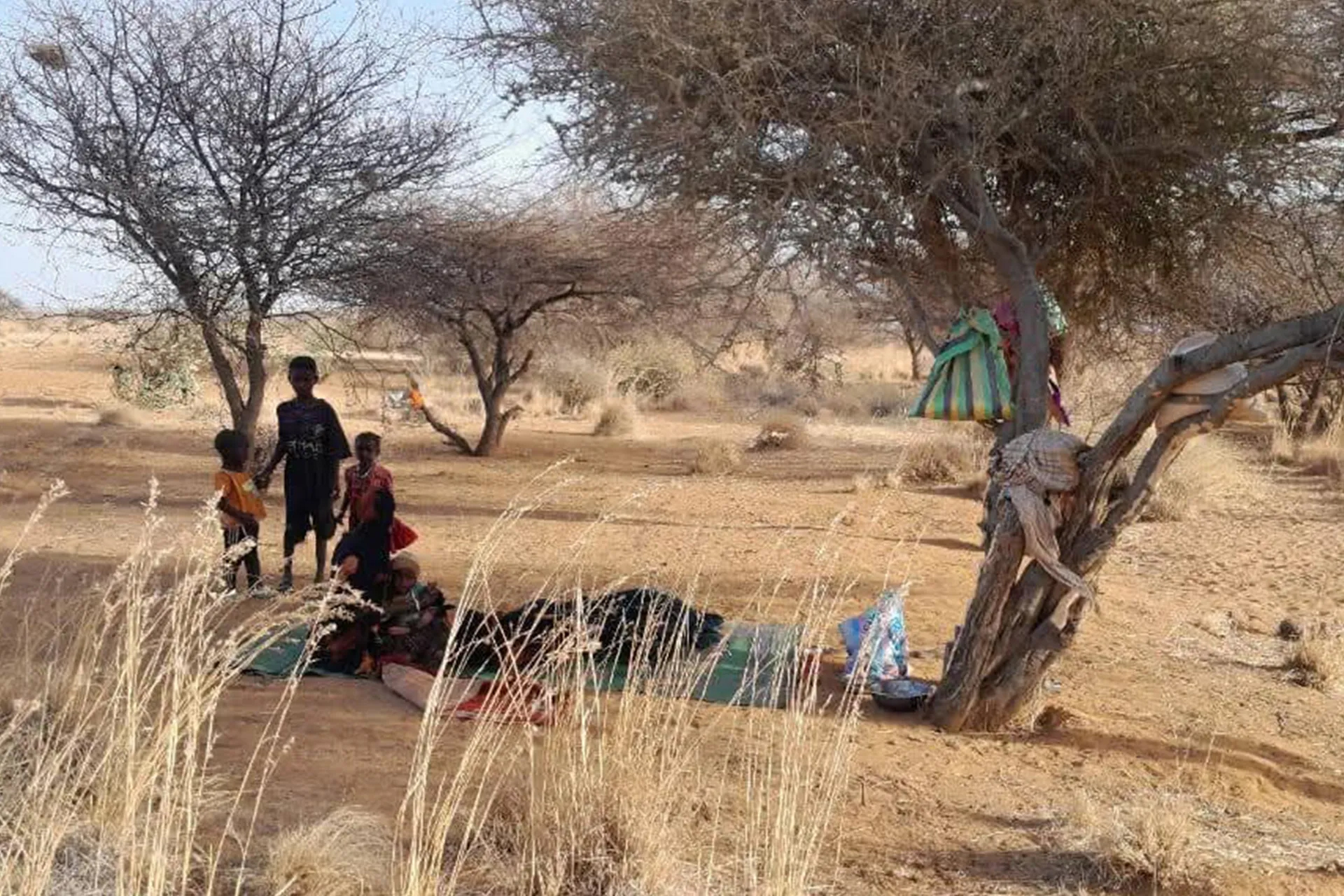 Stripped of their homes and livelihoods, displaced families from North Darfur are forced to sleep on the bare earth without shelter or basic necessities.