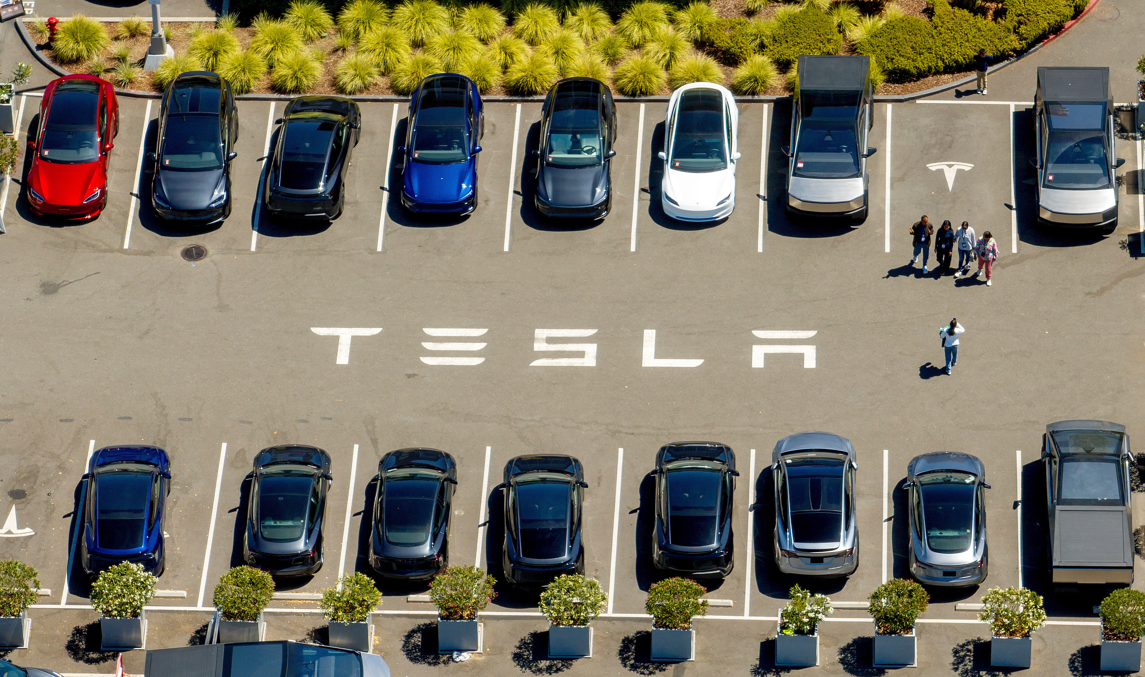 Telsa