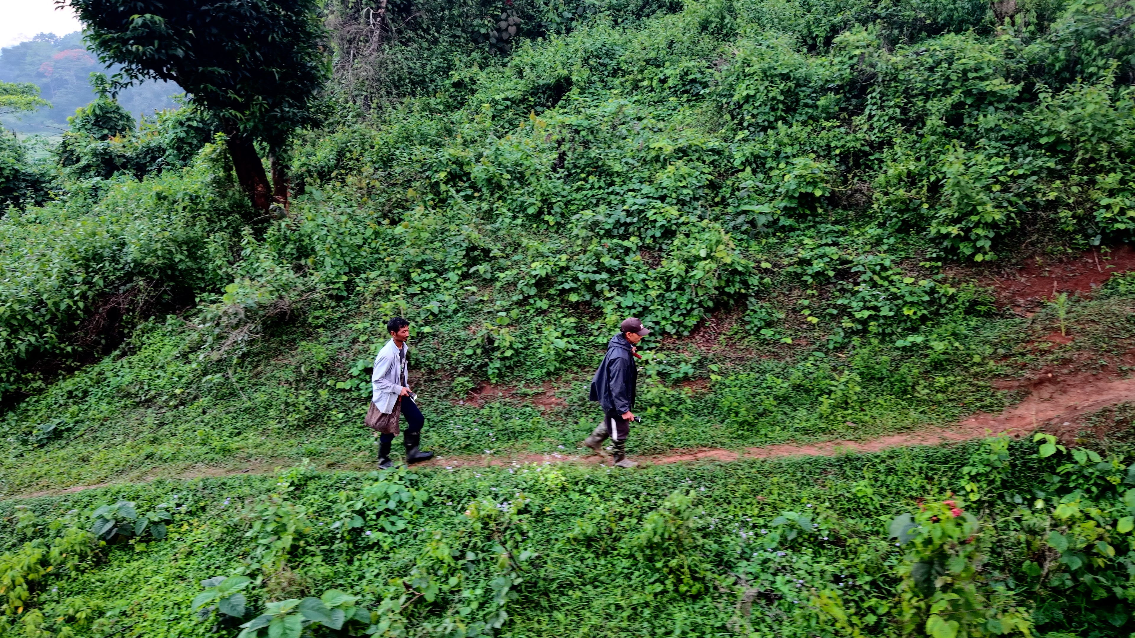 Eddie (R) and Livi head toward the forest