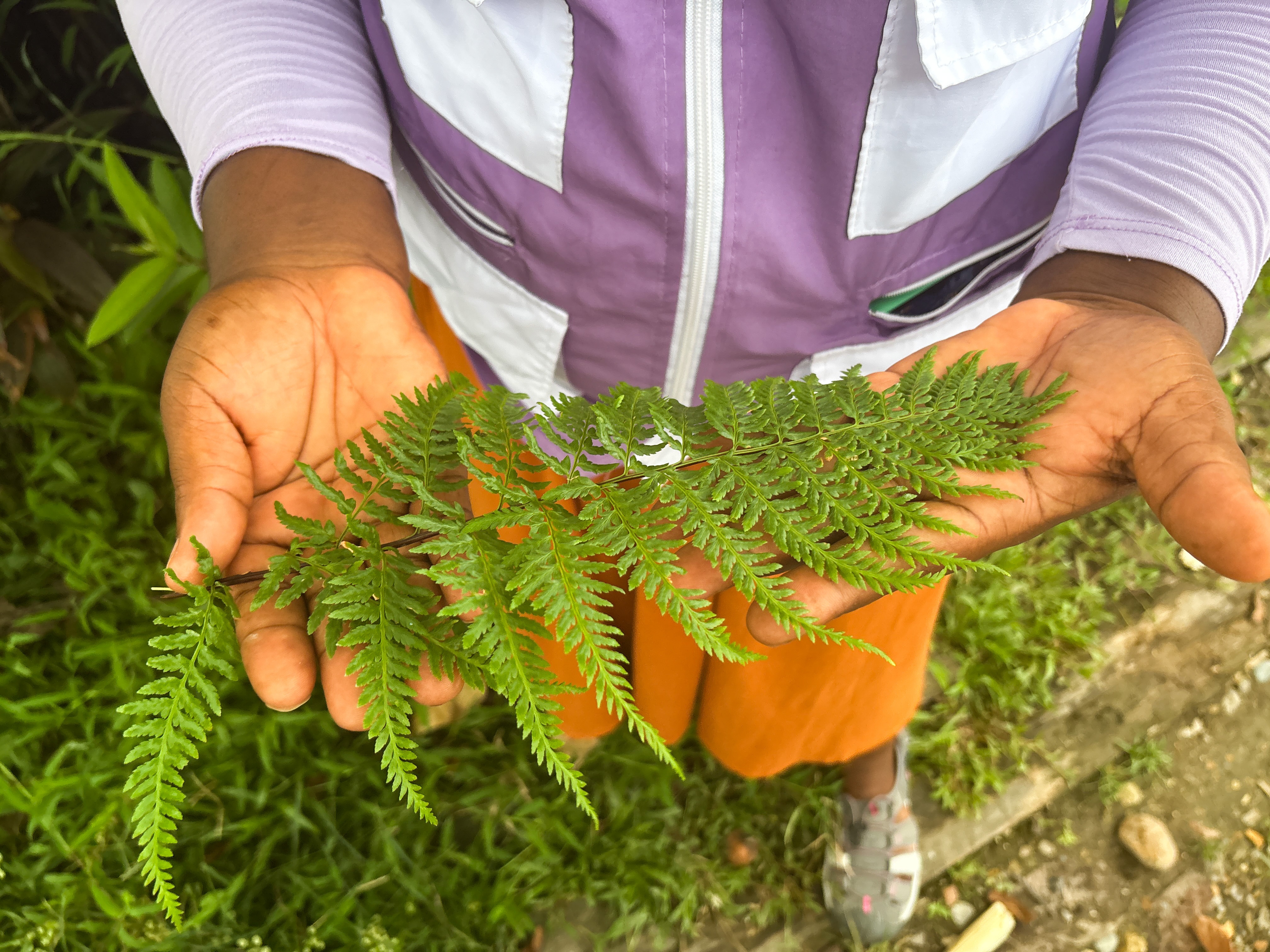 Yuvalis shows off the plants she uses to care for women who are pregnant or have recently given birth