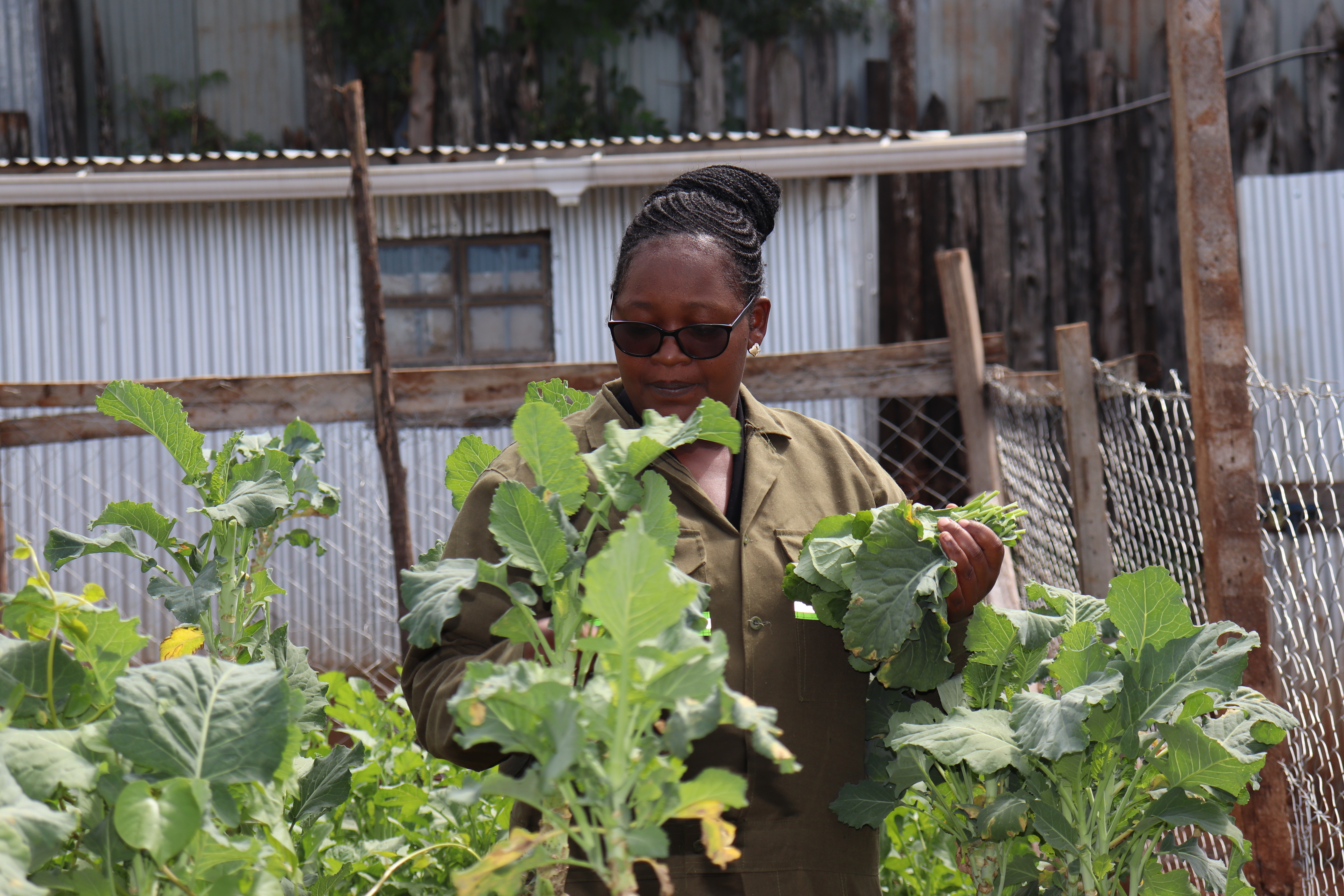 Rotich removes her vegetables for an order she has received via Facebook message.[Dominic Kirui/Al Jazeera]