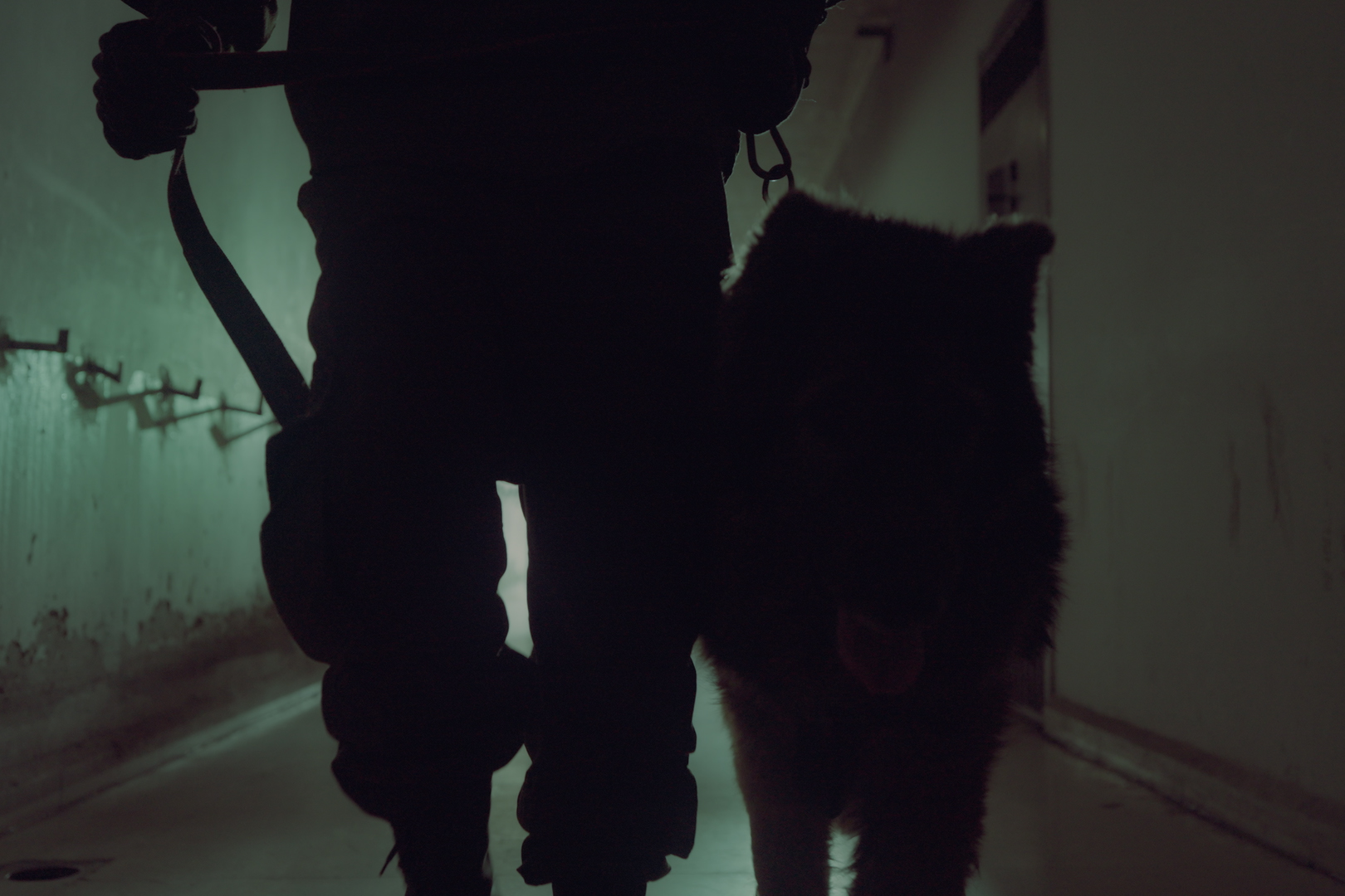 Soldier and dog