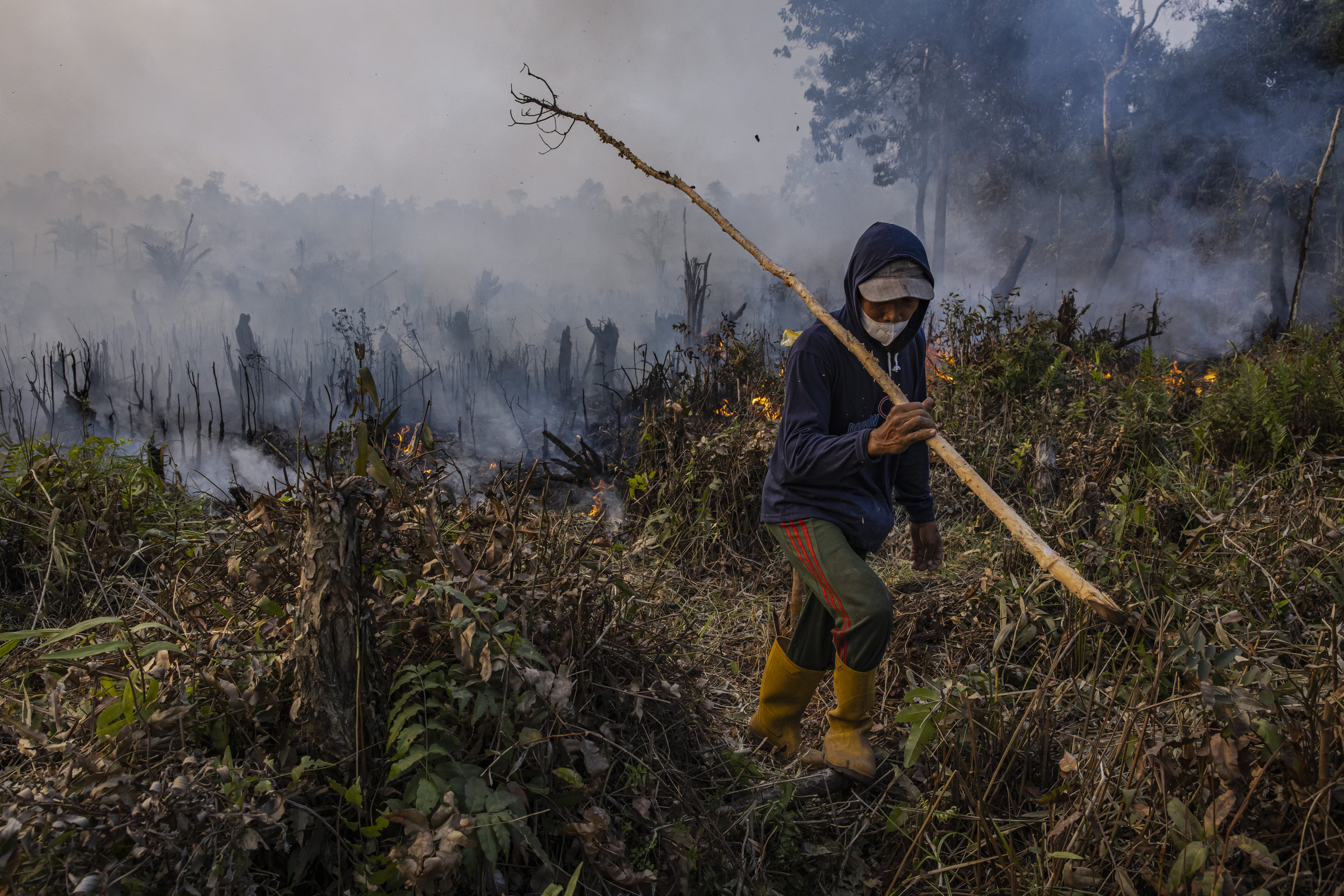 OGAN ILIR, SOUTH SUMATRA, INDONESIA - SEPTEMBER 23: A man attempts to extinguish a wildfire in his oil palm plantation on September 23, 2023 in Ogan Ilir, South Sumatra, Indonesia. At least six provinces in the country are battling ongoing forest fires as illegal blazes to clear land for agricultural plantation take control causing respiratory illnesses and biodiversity loss. The nation’s meteorology agency forecasted that Indonesia is likely to experience the most severe dry season since 2019 as the country enters the hottest day of this year’s El Nino-induced dry season. (Photo by Ulet Ifansasti/Getty Images)