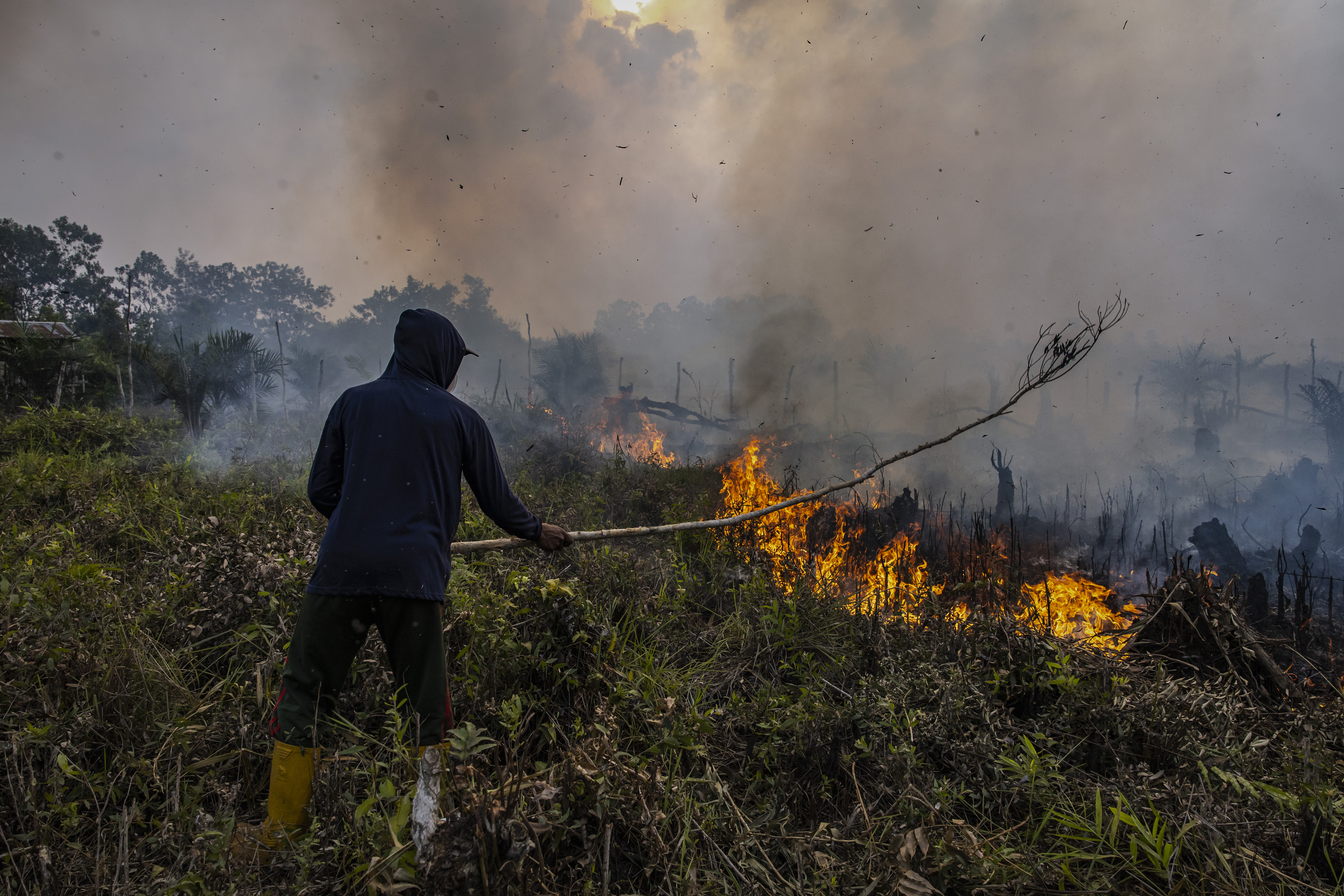 A man attempts to extinguish a wildfire in a field.