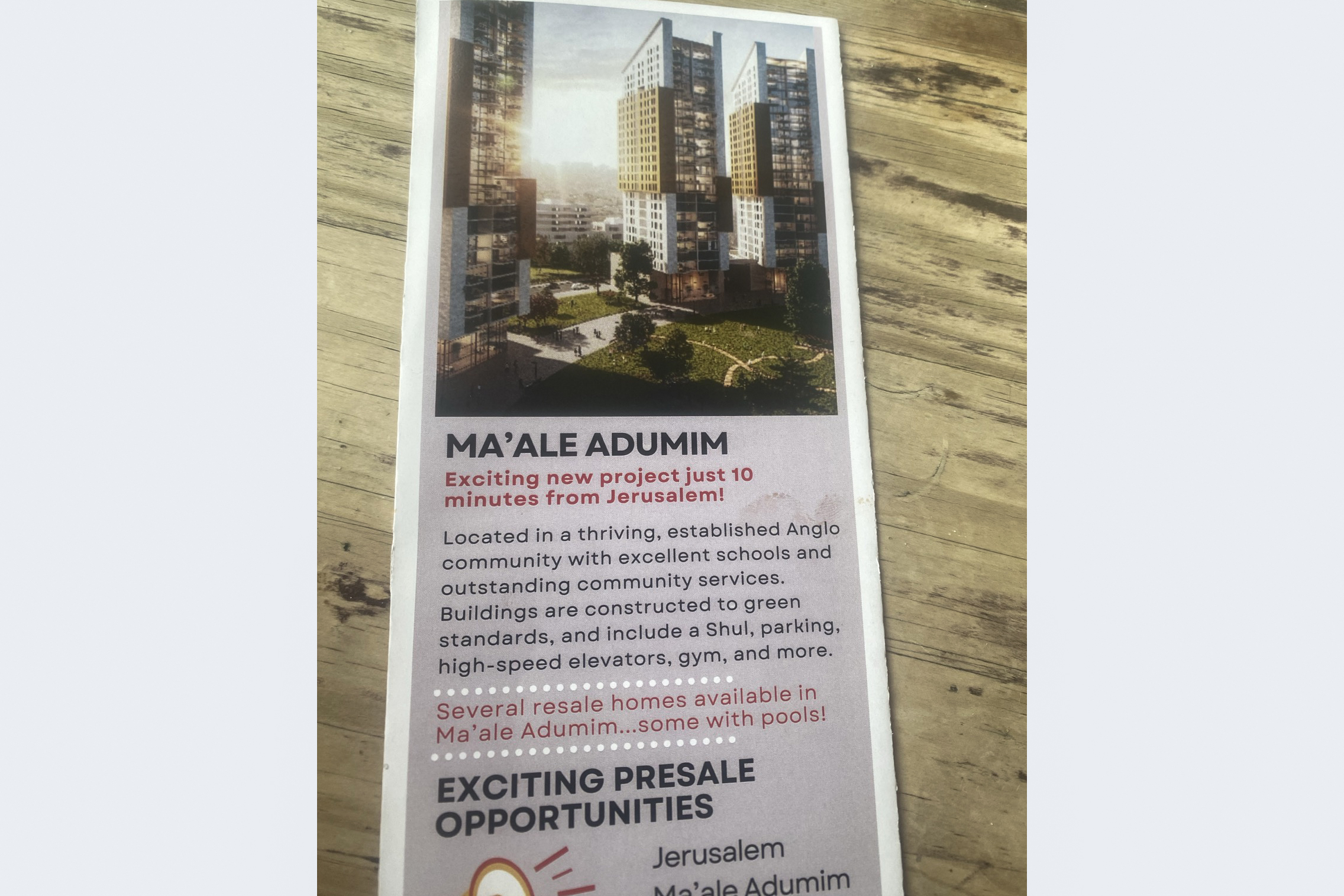 Activists saw leaflets marketing homes in illegal Israeli settlements at the controversial property fair [Courtesy of Jewish Anti-Zionist Action group]