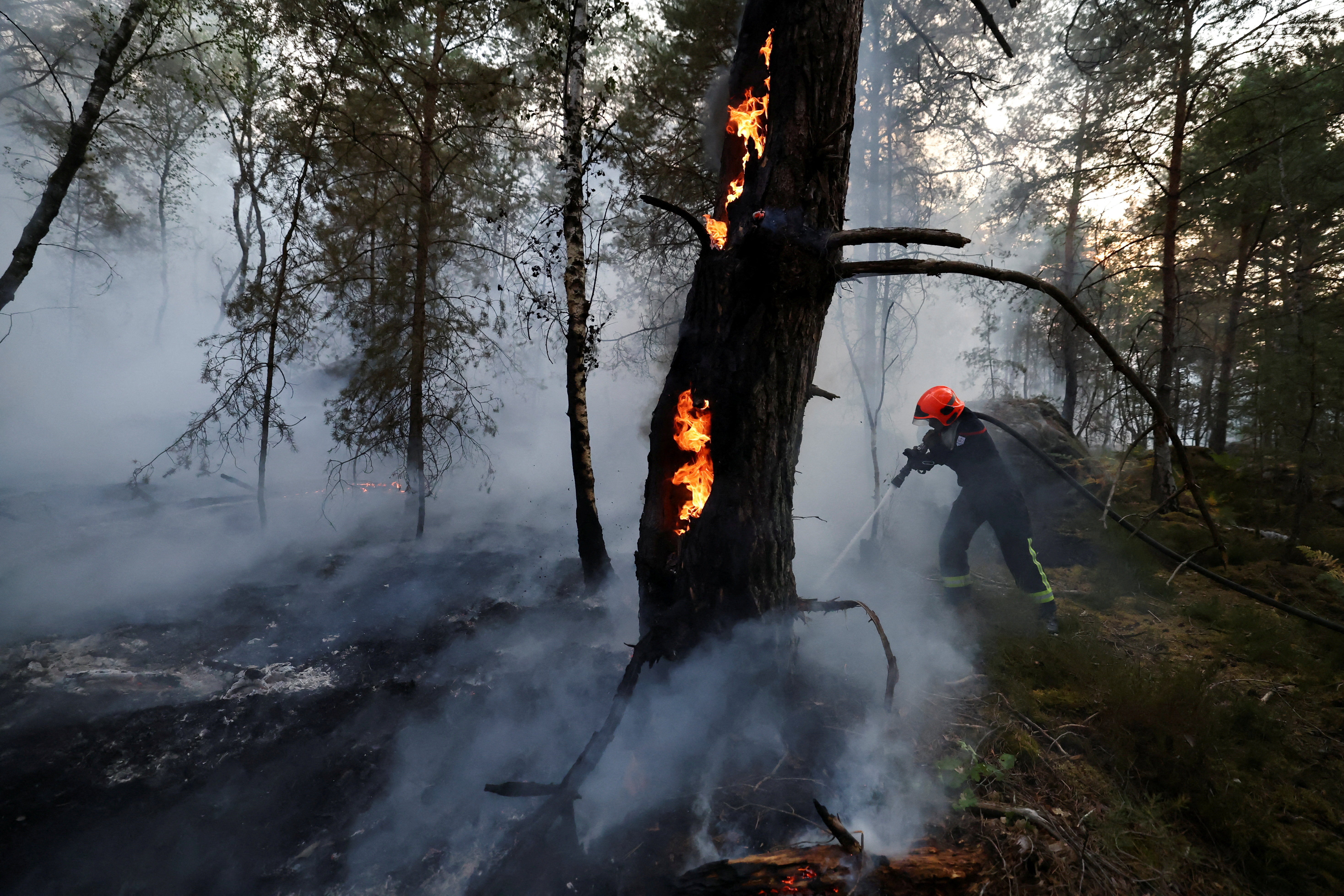 firefighters works to extinguish flames in the Fontainebleau forest