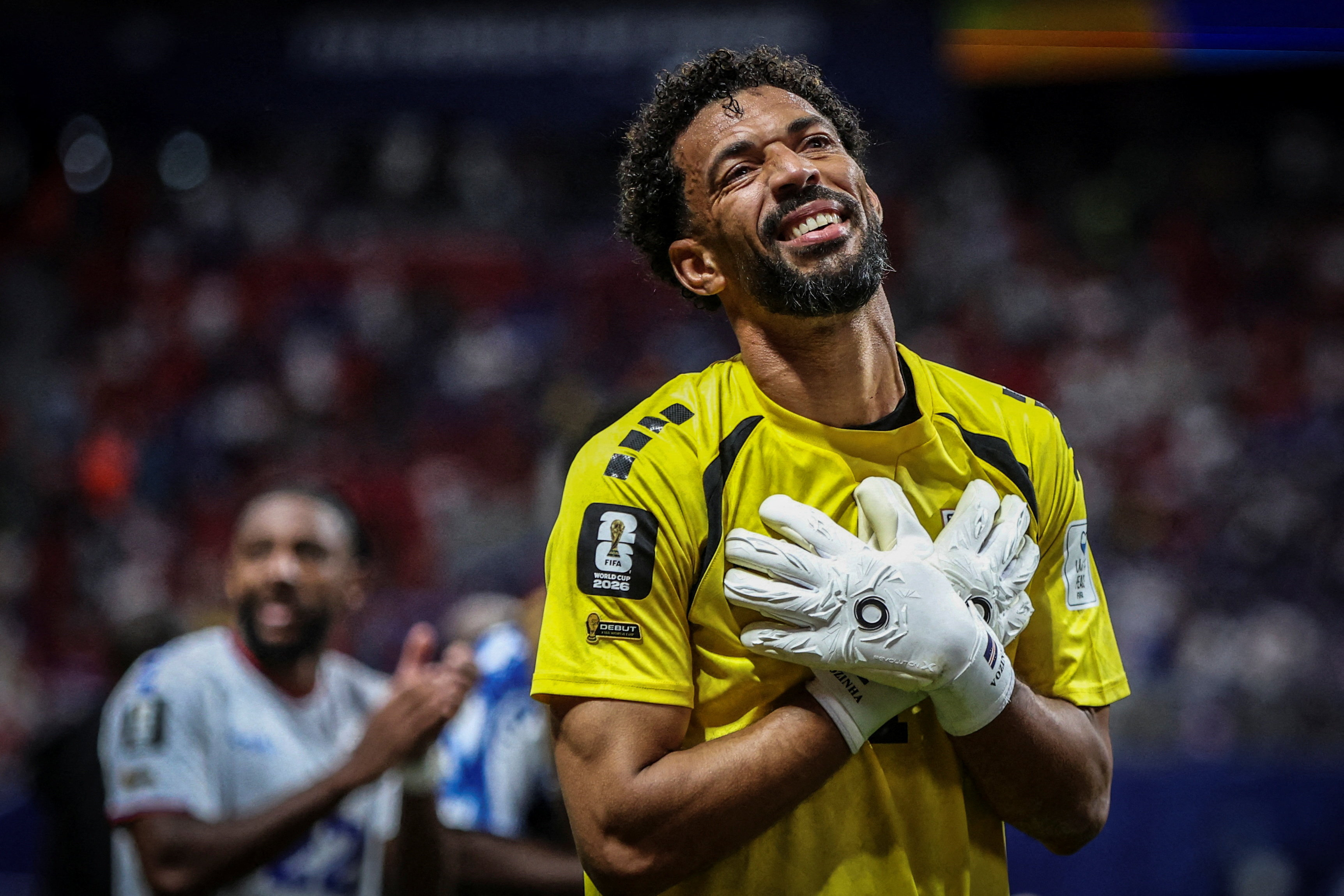 A goalkeeper on a football pitch