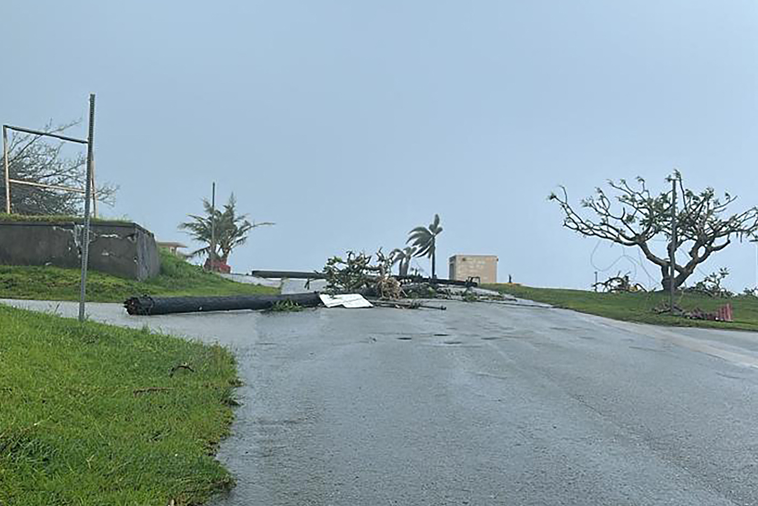 Fallen trees on Rota, in the Northern Mariana Islands, after Super Typhoon Bavi made landfall