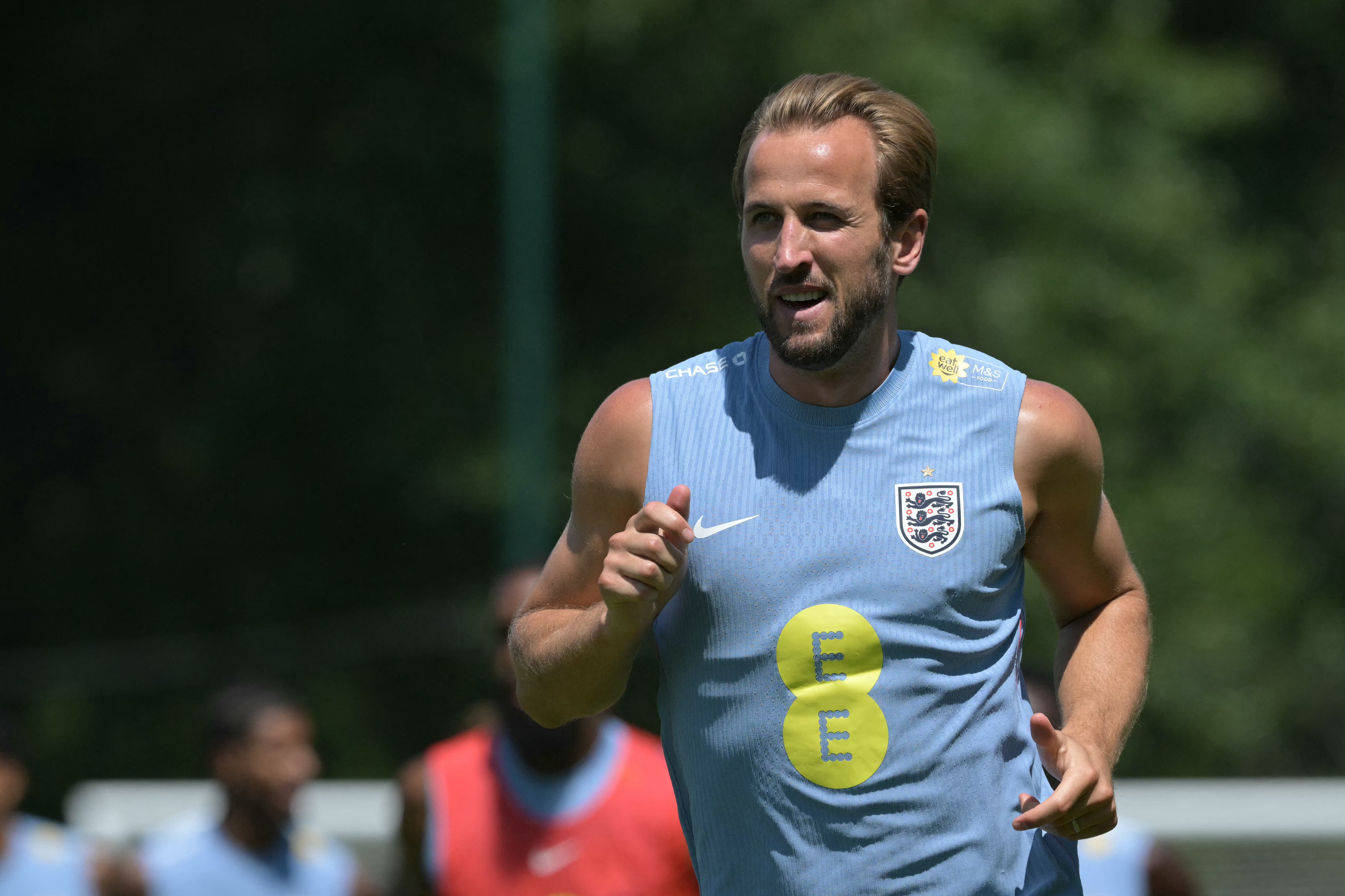 Harry Kane in action.