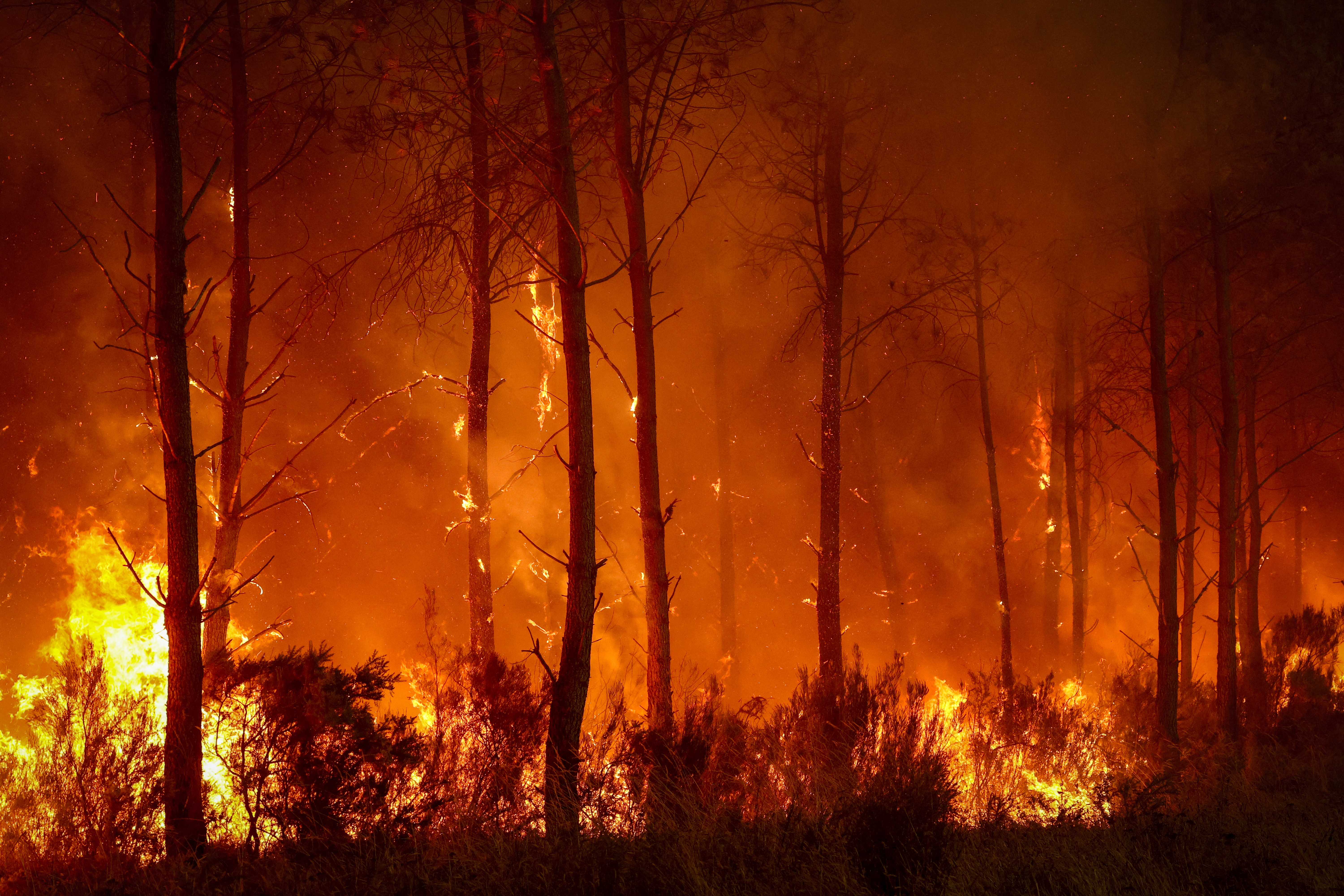 Wildfires
