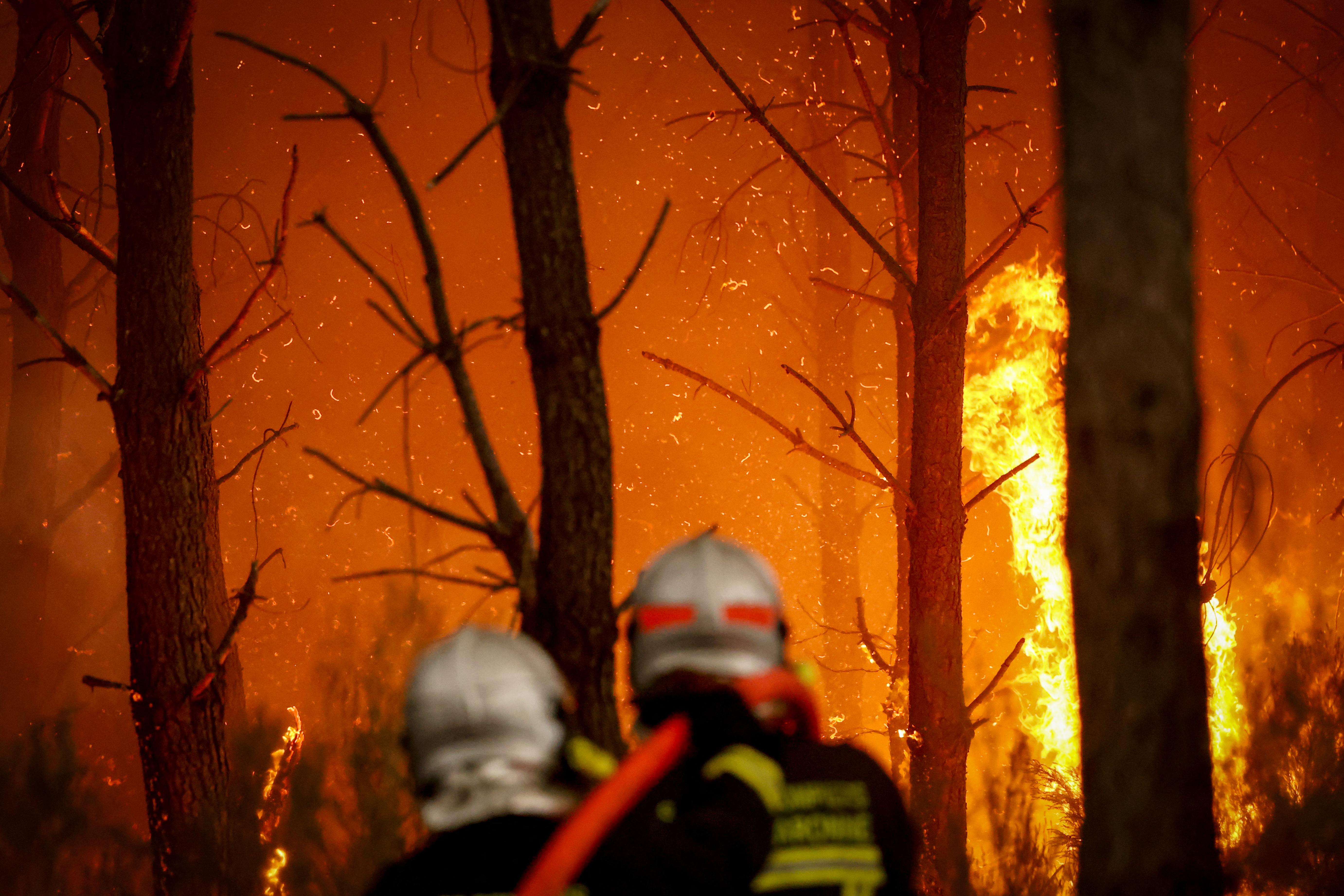 Wildfires