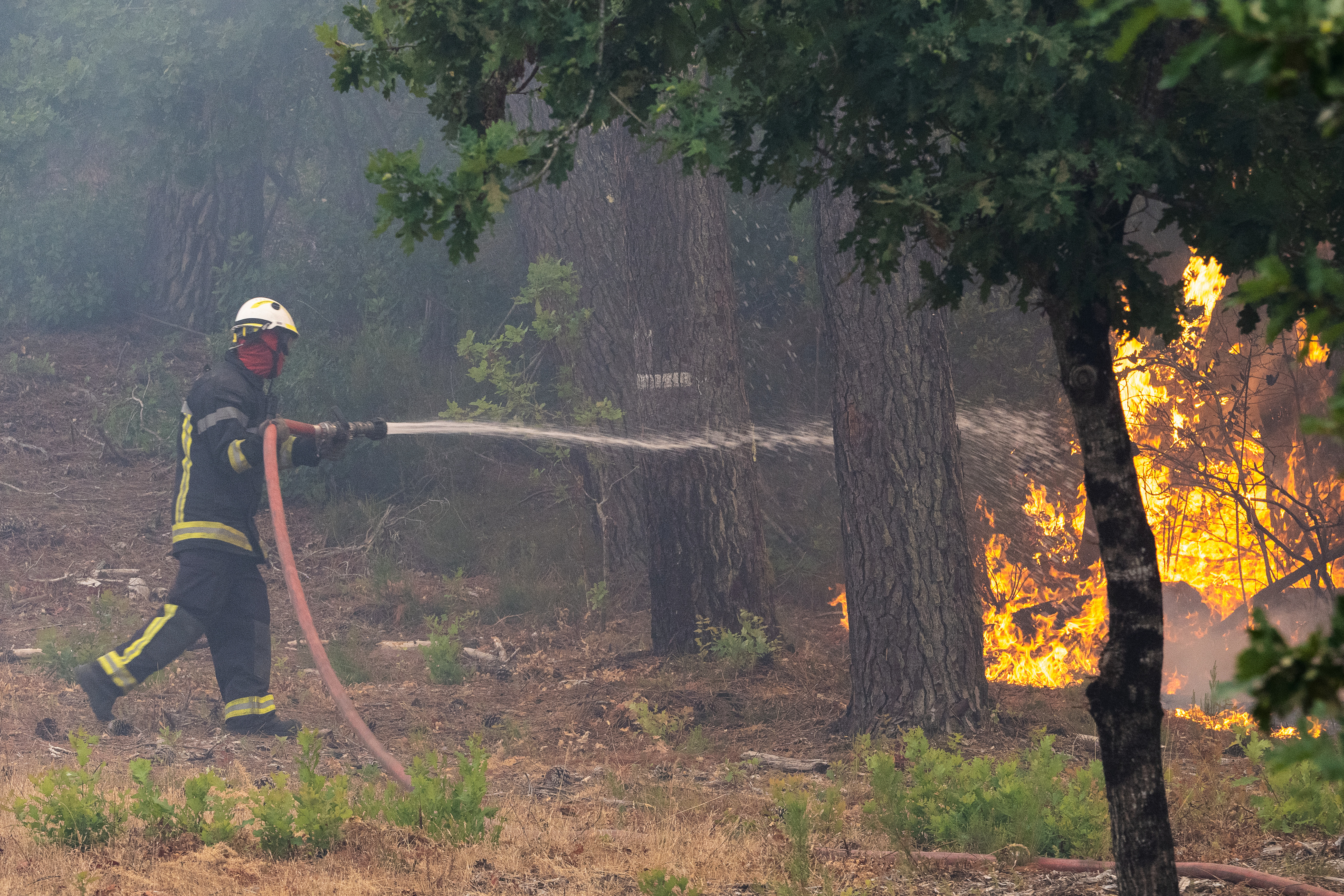 A firefighter sprays water in a burning forest in the Lège-Cap-Ferret region, western France, on July 24, 2026.