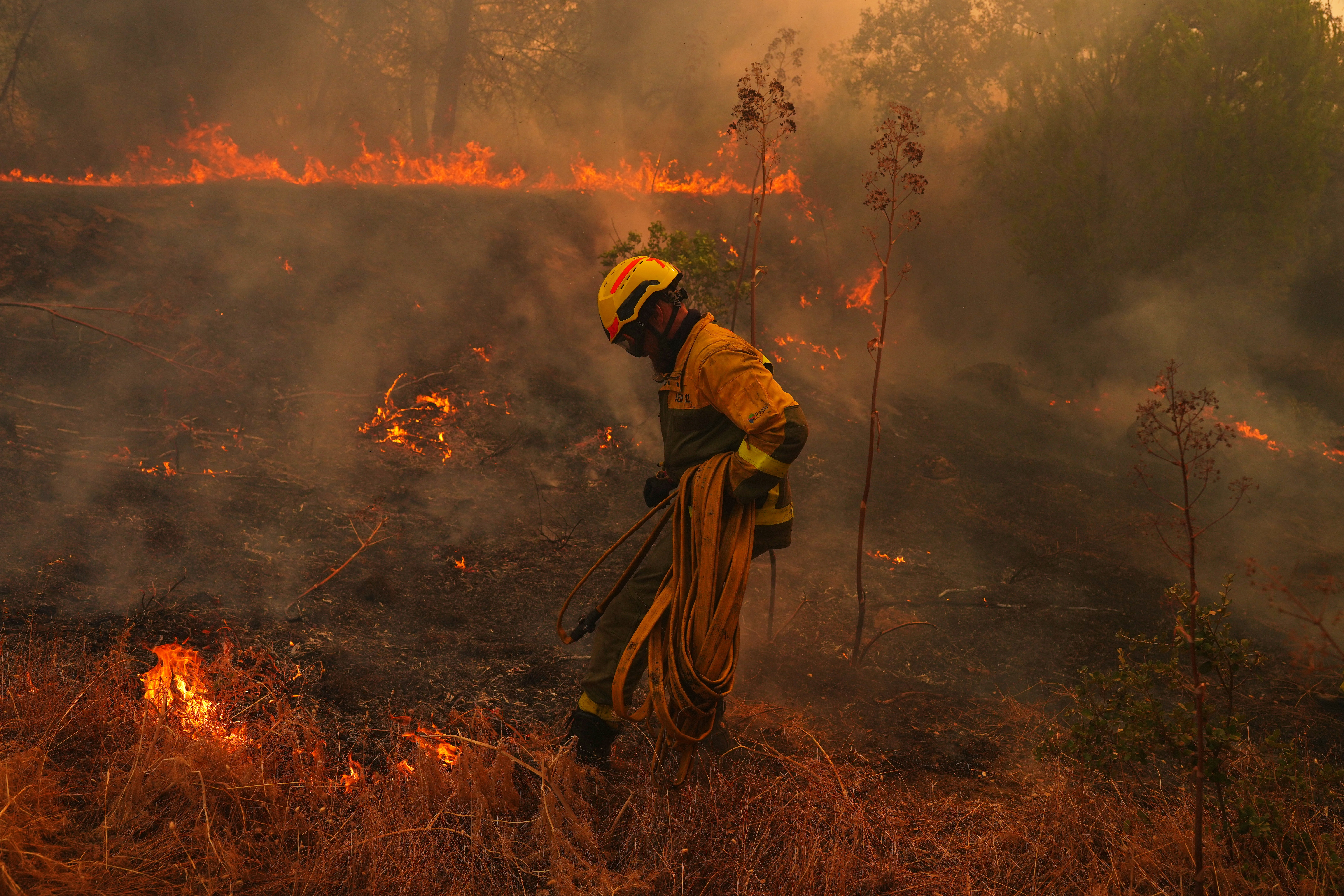 Wildfires