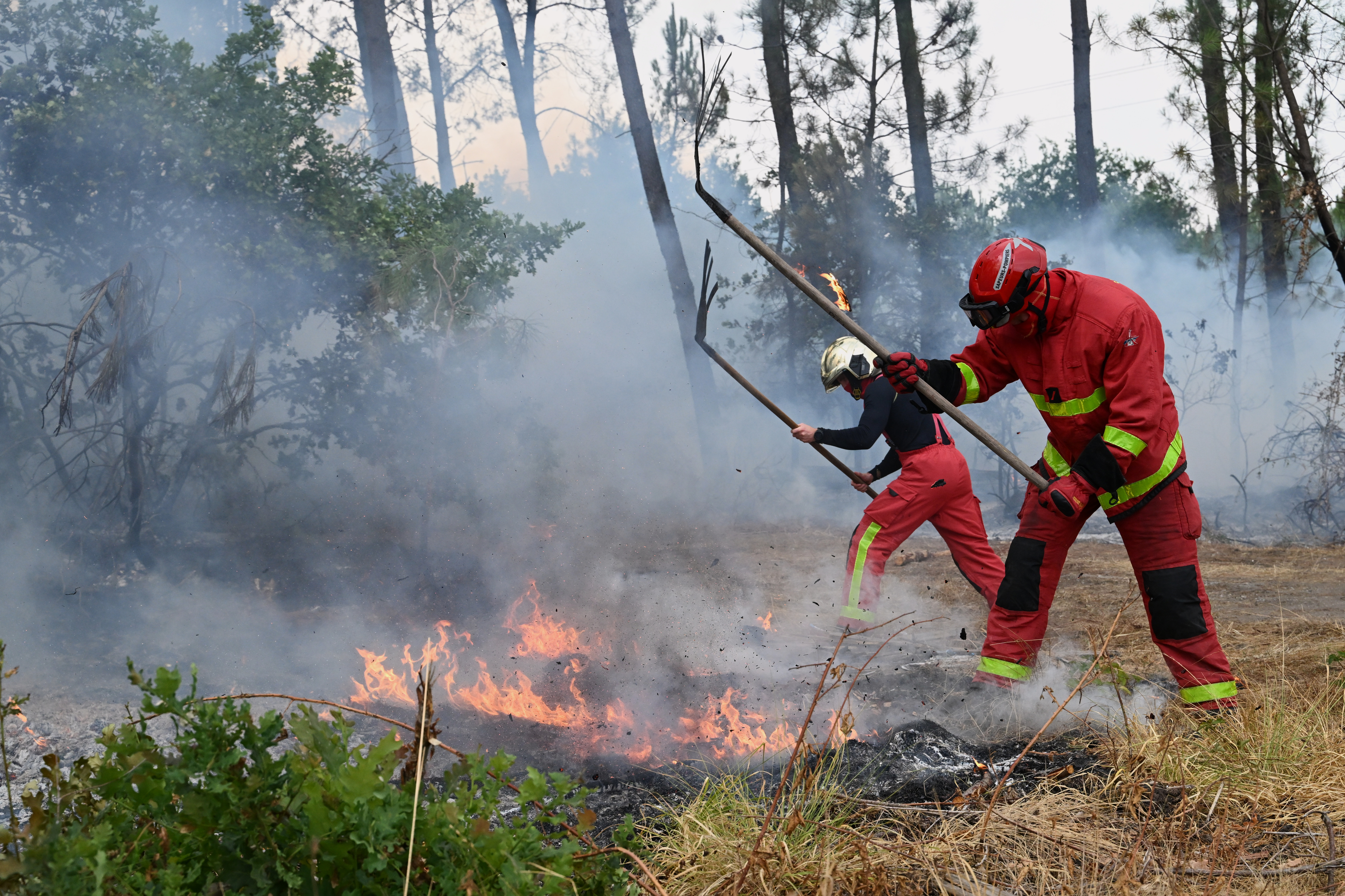 Wildfires