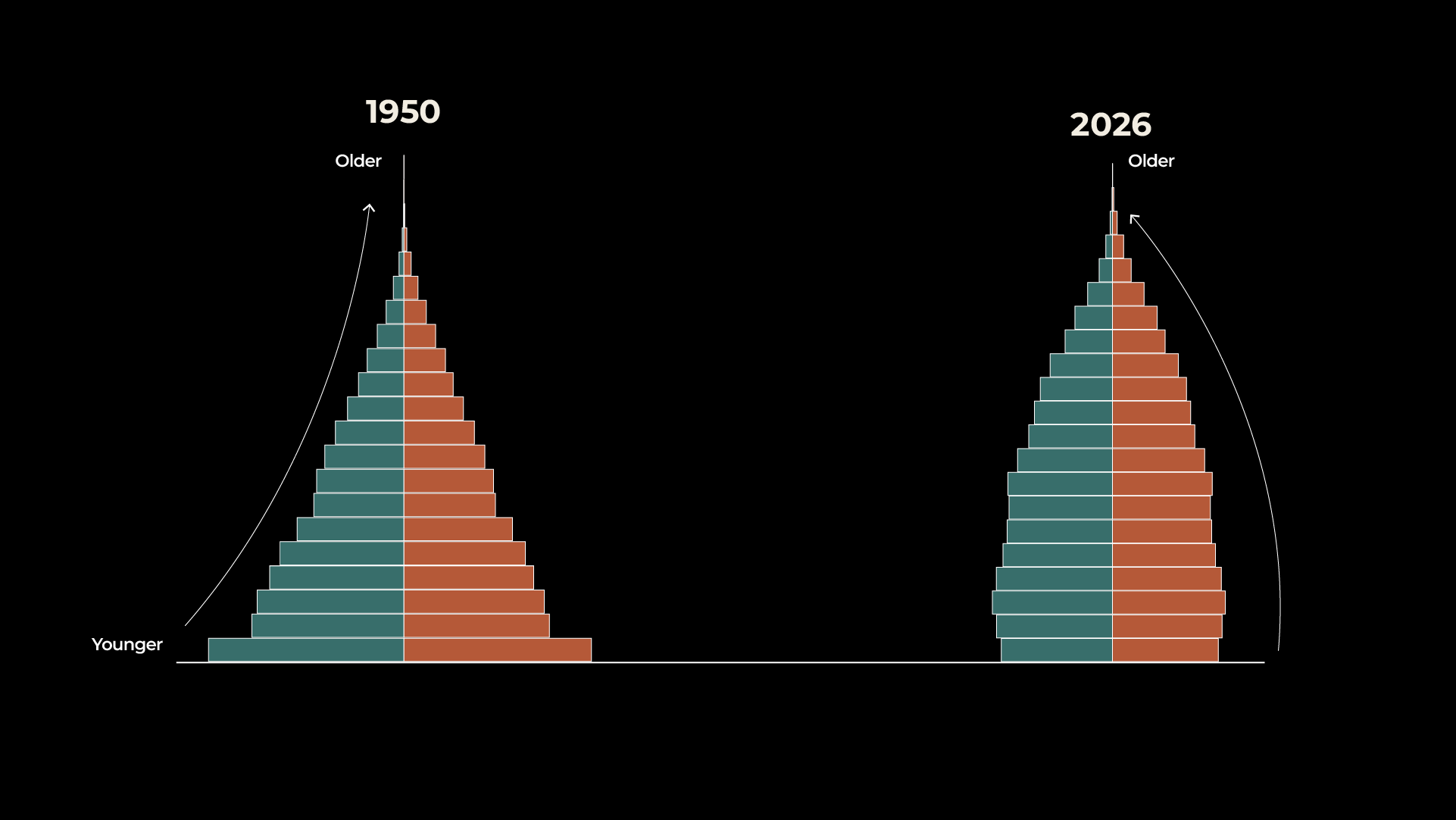 INTERACTIVE - POPULATION PYRAMID - JULY 2, 2026-1782995088