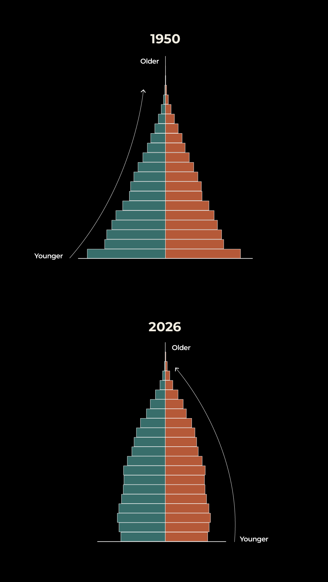 INTERACTIVE - POPULATION PYRAMID -VERTICAL- JULY 2, 2026-1782995036