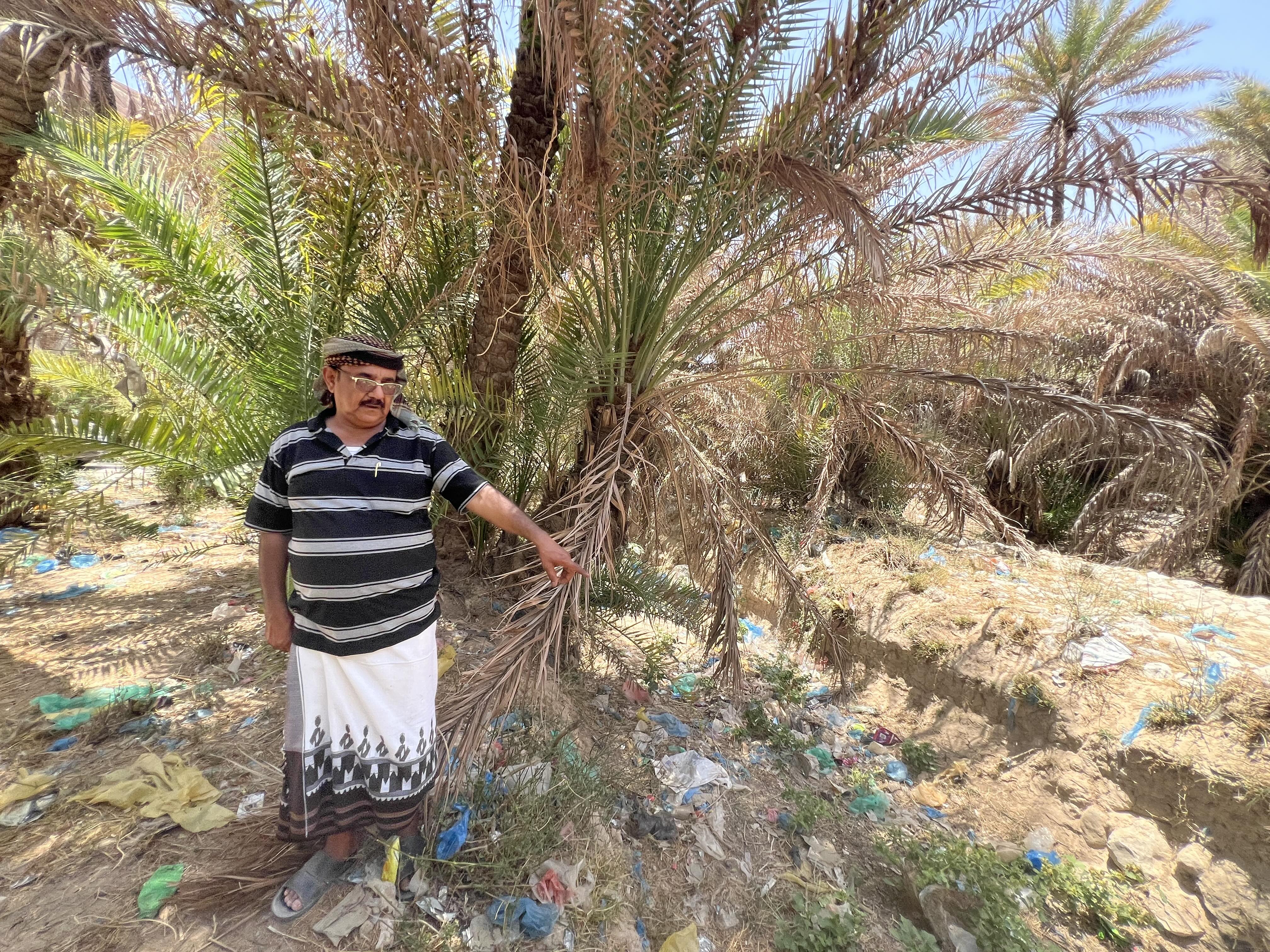 Yousef Abdullah, a farmer and orchard owner, points to discarded plastic bags scattered beneath date palms and along irrigation channels in Wadi Daw’an , Hadramout, Yemen. [Saeed Al-BatatiAl Jazeera]