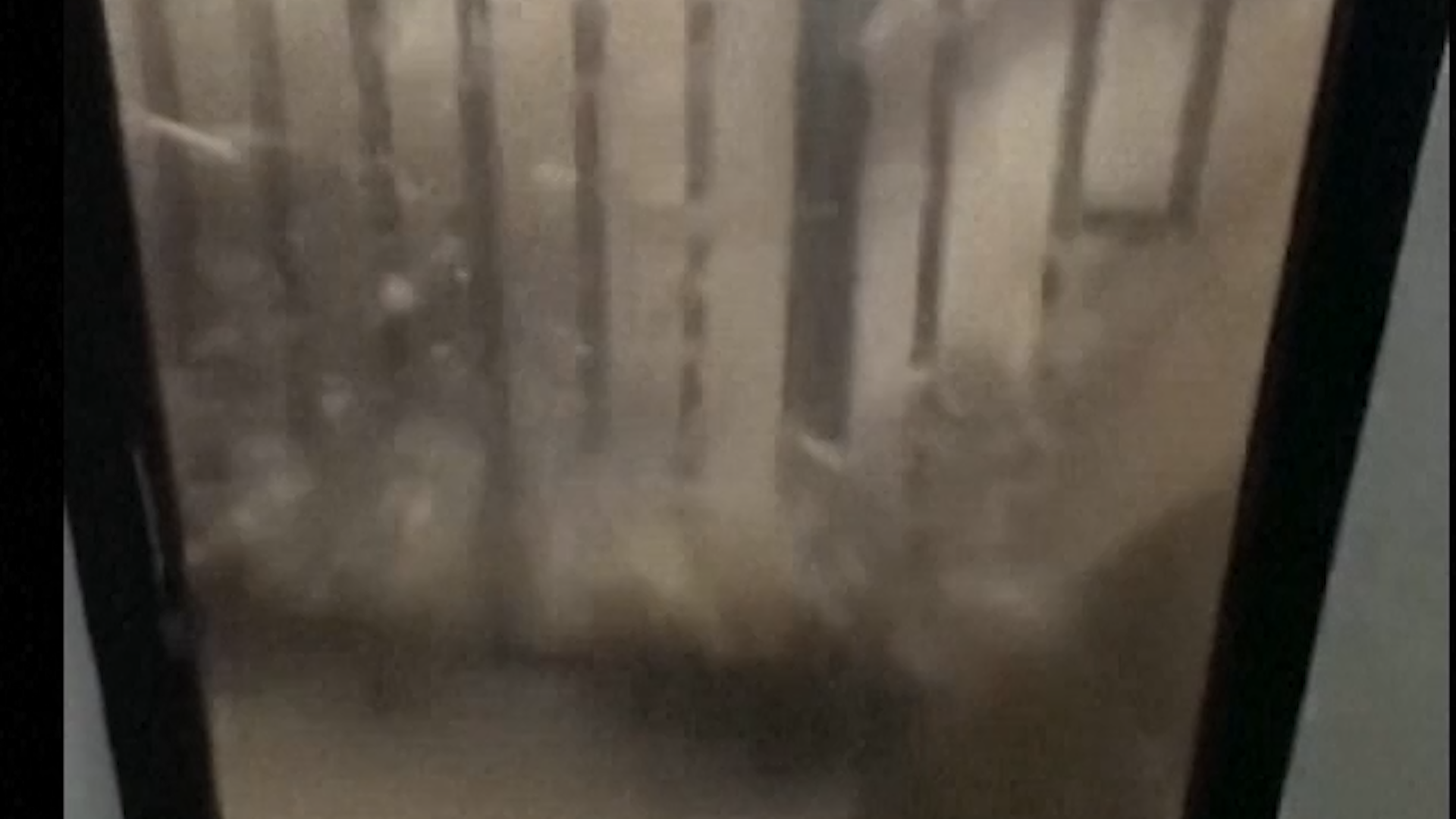 Typhoon Bavi