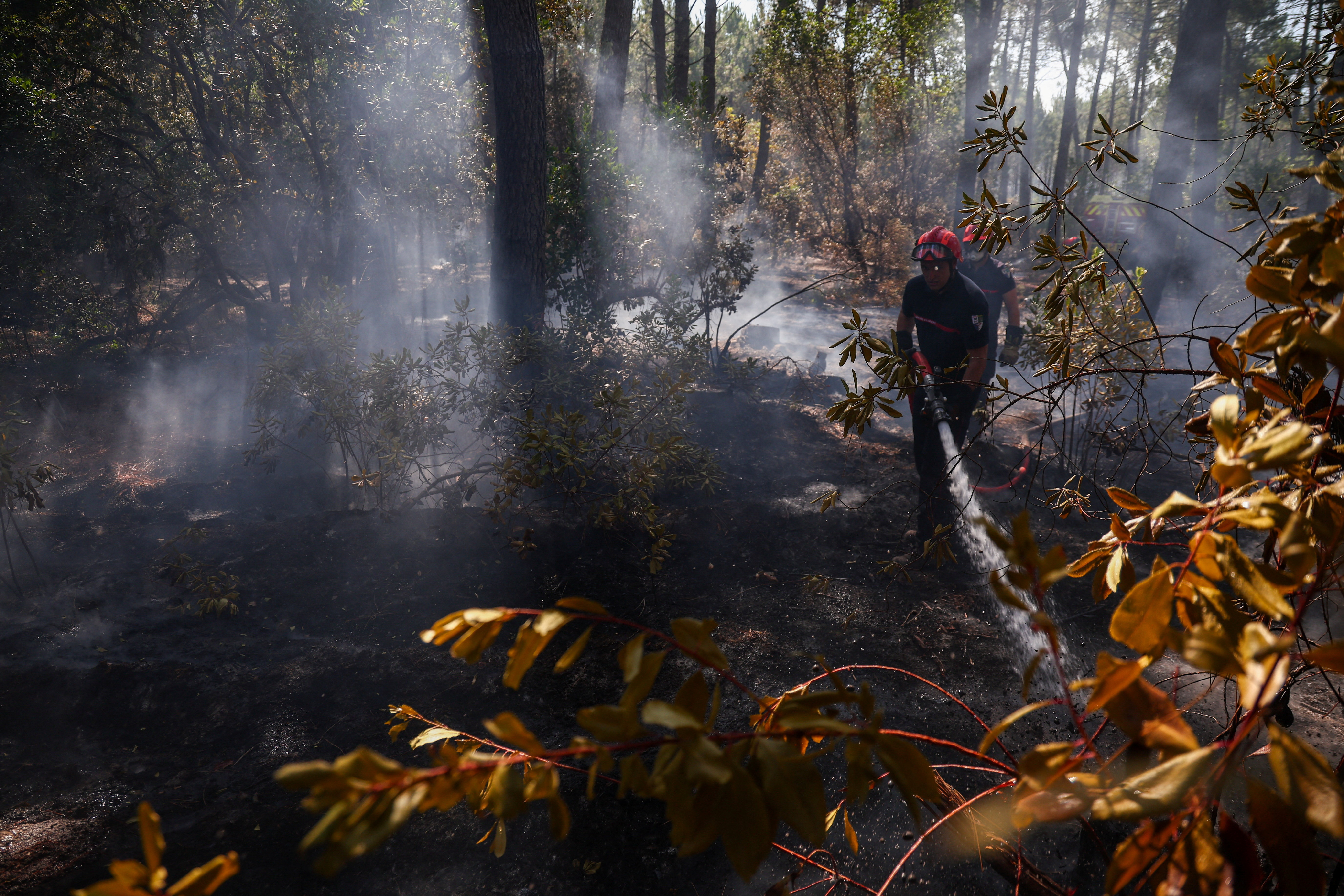 A firefighter uses a hose at Le Grand Crohot amid drought conditions following a heatwave and water shortages across much of France, Lege-Cap-Ferret, Gironde department, France