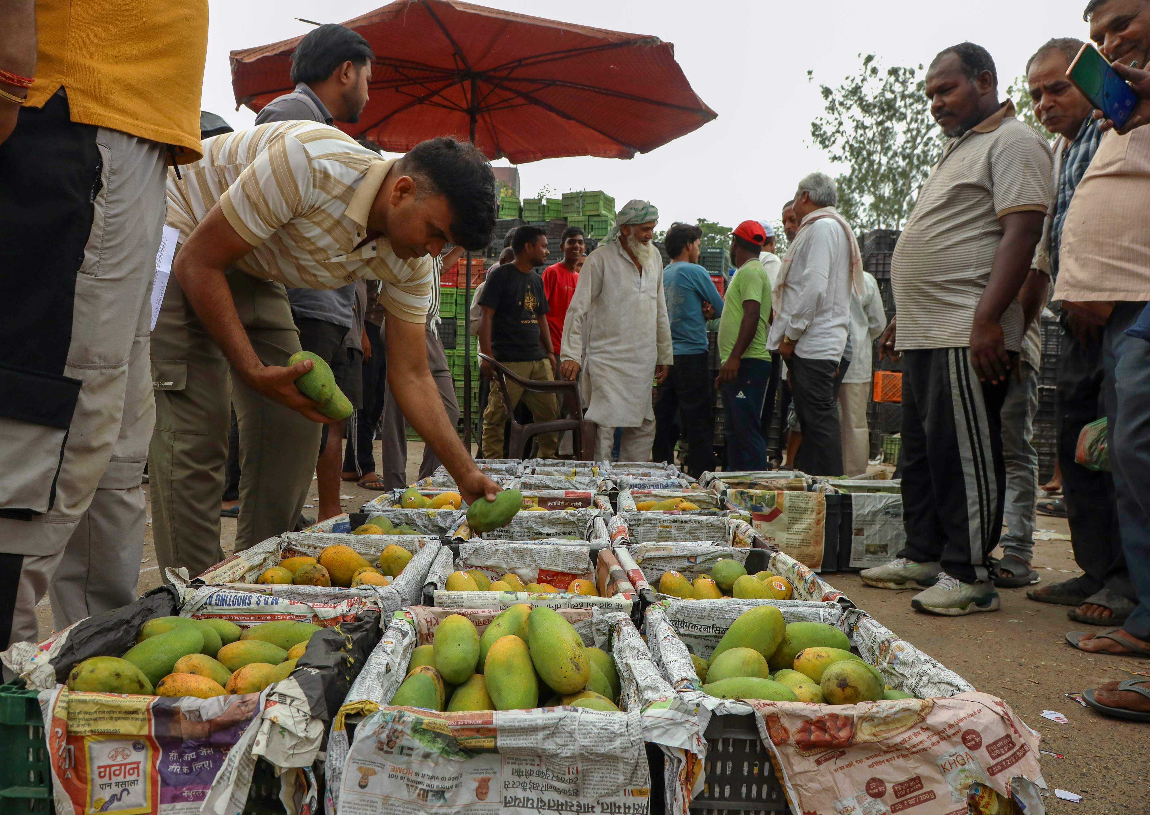 India Farm Story