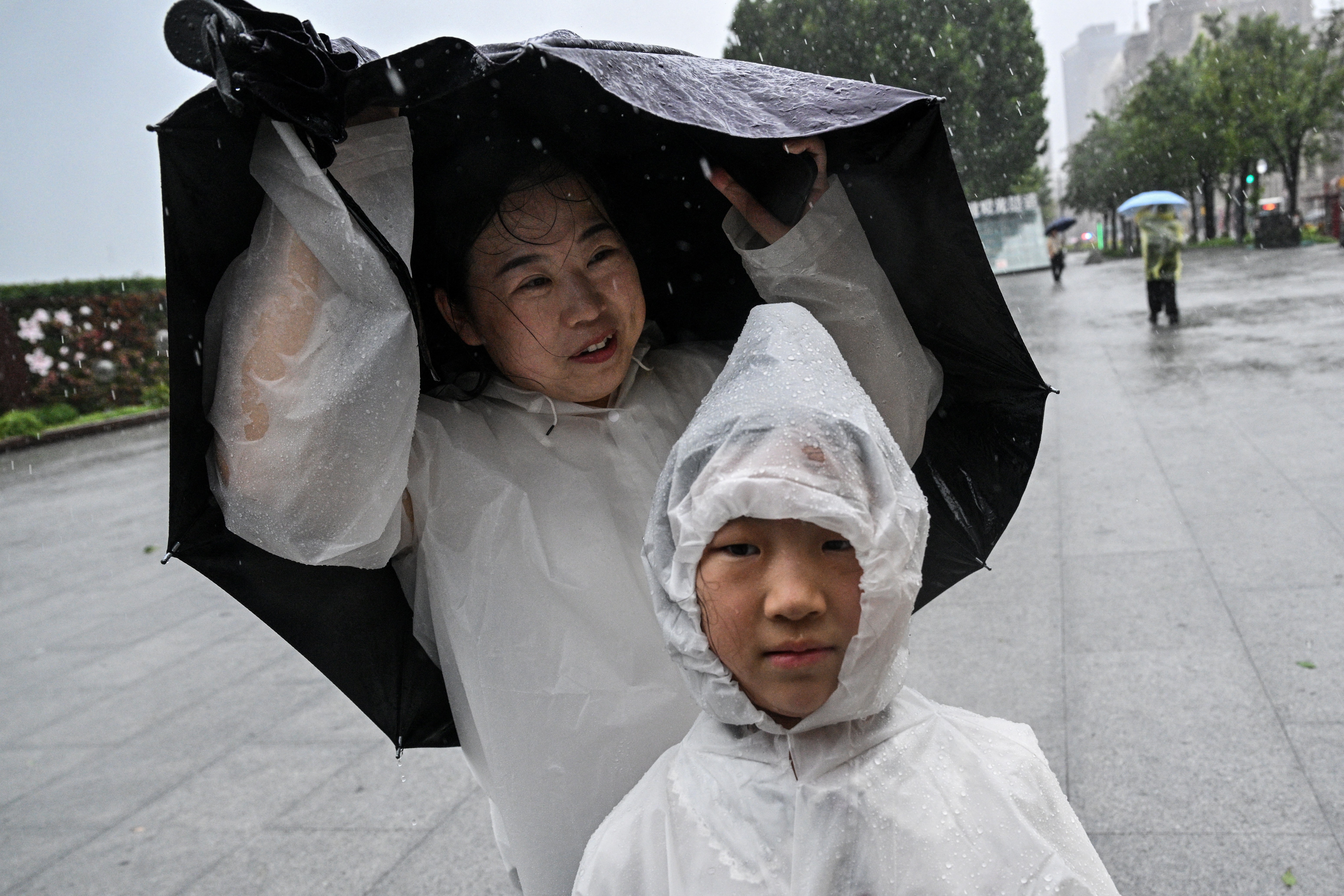 Powerful Typhoon Dolphin hits China, sparking flood and landslide warnings